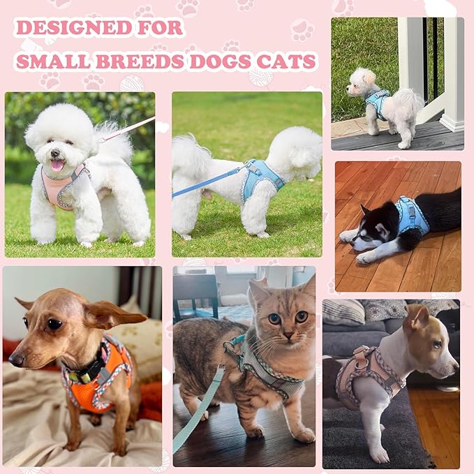 Dog Harness and Leash Set, No Pull Adjustable Reflective Pet Harness, Mesh Step in Vest Harness Easy Walk Dog Harness Outdoor Hiking Training for Small Medium Dogs, Cats(Pink, M)