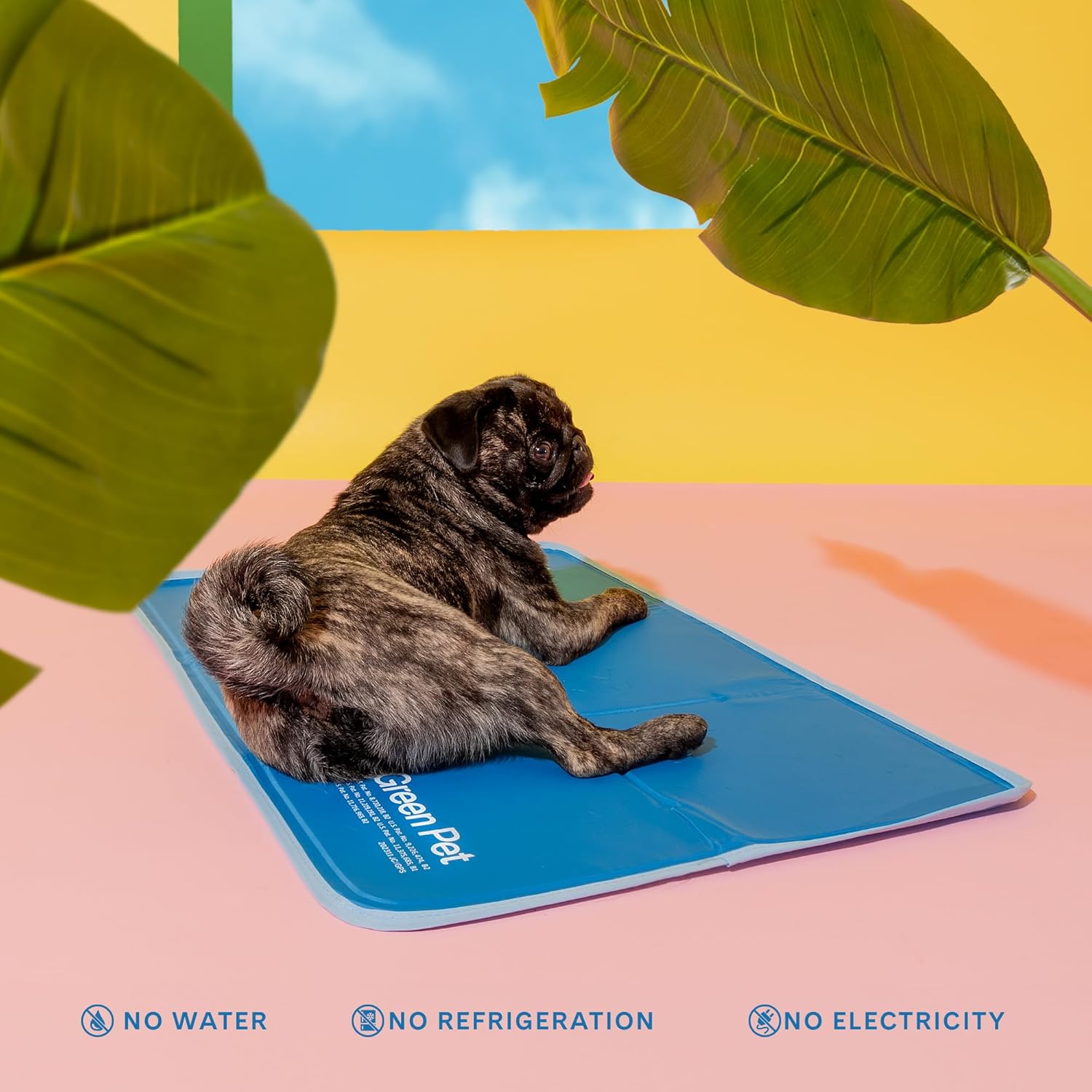 The Green Pet Shop Cool Pet Pad - Large, Blue - Self-Cooling, Pressure Activated Mat for Dogs & Cats from 46-80 lbs - Non-Toxic Gel, No Water Needed - Pet Explorer