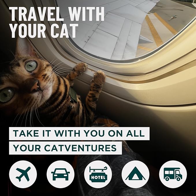 OutdoorBengal Portable Travel Litter Bag, No Mess, Small & Collapsible Bag to Carry Litter, Leak Proof Kit for Cat Litter, Essentials for Traveling with Cats, Travel Litter Box for Car, Plane with Cat