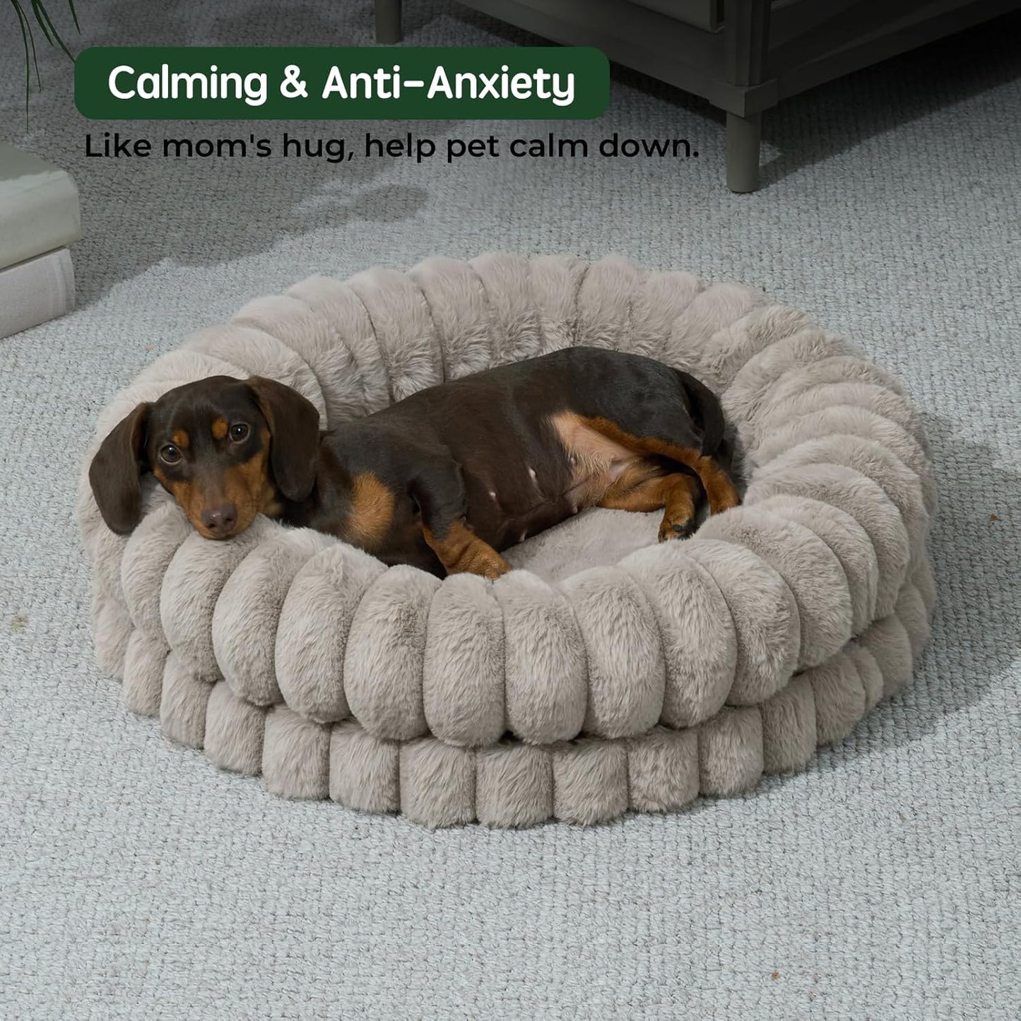 BALANCE Luxury Donut Dog Bed, 23 Inches Round Dog Beds for Small Dogs Washable, Orthopedic Calming Pet Bed for Puppy and Cats with Anti-Slip Bottom, Oatmeal - Pet Explorer