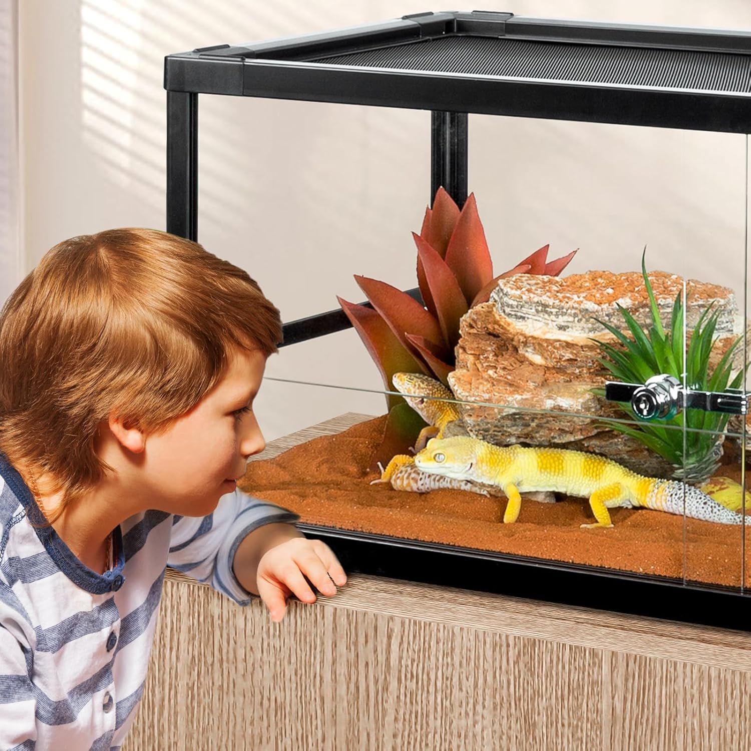 20 Gallon Reptile Tank, 30" x 12" x 12" Reptile Terrarium, Top Screen Ventilation, Sliding Door, Cable & Fogger Pass, Glass Enclosure for Bearded Dragon, Lizard, Gecko, Frog, Snake - Pet Explorer