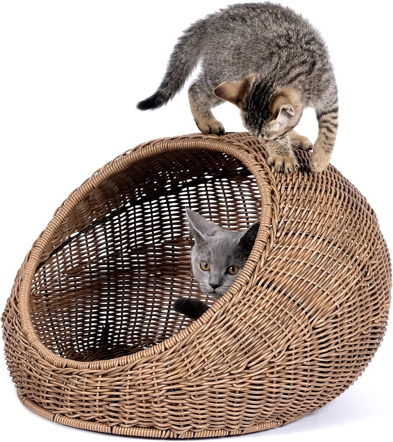 D+GARDEN Wicker Cat Bed Dome for Medium Indoor Cats - a Covered Cat Hideaway Hut of Faux Rattan Houses Pets in Dome Basket, Washable - Pet Explorer