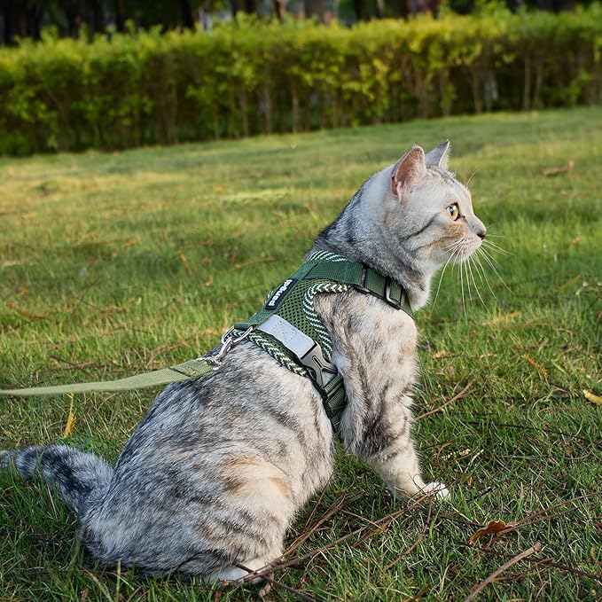 Cat Harness and Leash Escape Proof Extra Large Kitten Harness Maine Coon Cat Vest for Walking Travel, Dark Green, XL