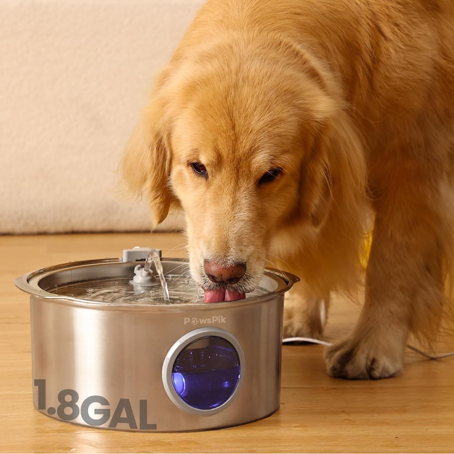 Ultra-Quiet Stainless Steel Dog Water Fountain, 1.8-gal - Pet Explorer
