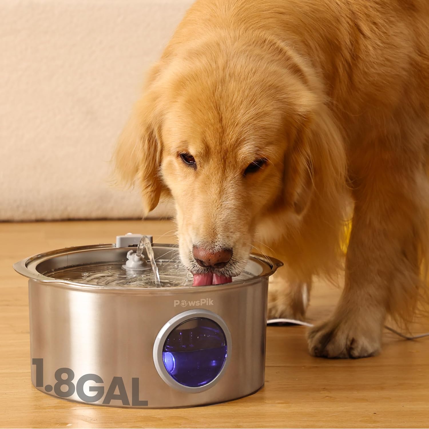 Ultra-Quiet Stainless Steel Dog Water Fountain, 1.8-gal - Pet Explorer