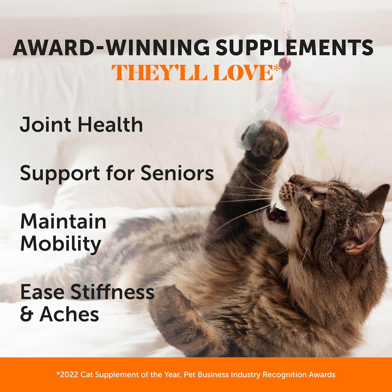 Cat Hip & Joint Health Crunchy & Creamy Chews - Cat Joint Support Supplement with Glucosamine, Health Supplies & Hip Support for Indoor & Outdoor Cats (Chicken 30-Day Supply) - Pet Explorer
