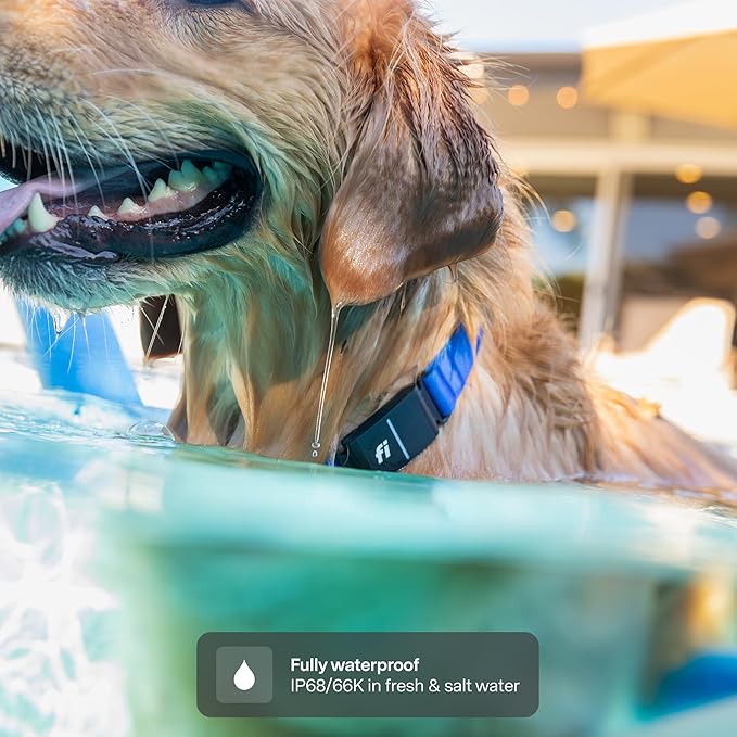 New Fi Series 3+ Smart Dog Tracker Collar [6 Month Membership Included] GPS Tracker for Dogs with Health & Behavior Monitoring, Escape Alerts, Waterproof, LED, Apple Watch Compatible (Blue, Large)