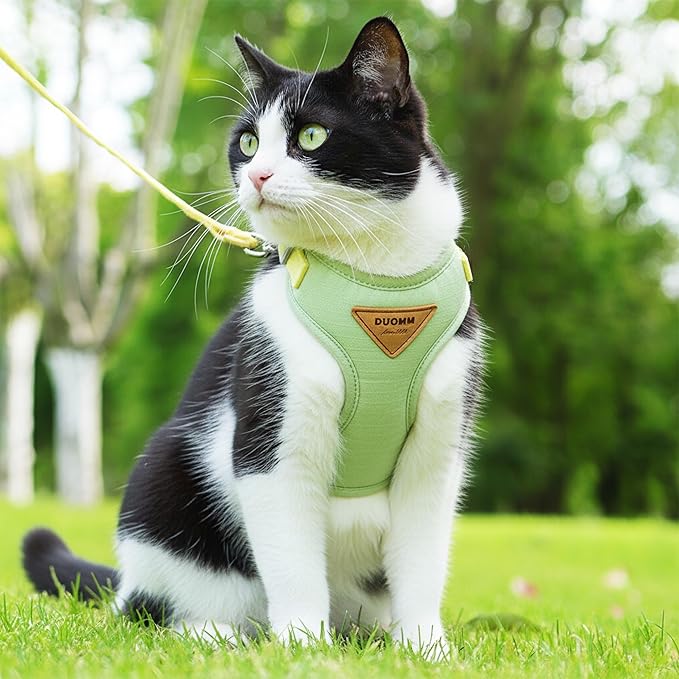 Escape-Proof Cat Harness and Leash Set - Adjustable and Comfortable - Ideal for Walking Cat Outdoors - Fits Small Dogs, Kittens, Medium, and Large Cats (Green, L)