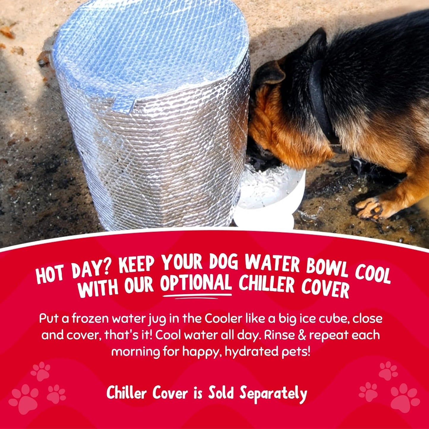 Pet Gravity Water Dispenser: 5 Gallon. for Dogs, Cats, Goats, Small Animals. Quiet, No BPA and Made in USA. Ideal Dog Bowl Large Breed. Best Automatic Waterer. - Pet Explorer