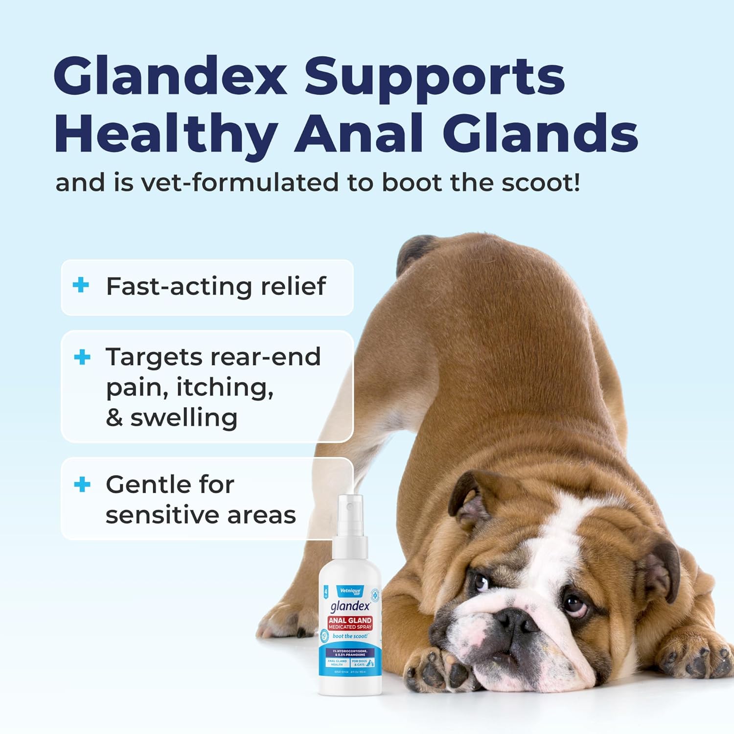 Vetnique Glandex Medicated Dog Butt Wipes or Spray for Dog Scooting - Topical Anti Itch Skin Relief for Soothing Inflamed Anal Glands in Dogs & Cats - Fast Acting Formula (4oz Spray) - Pet Explorer