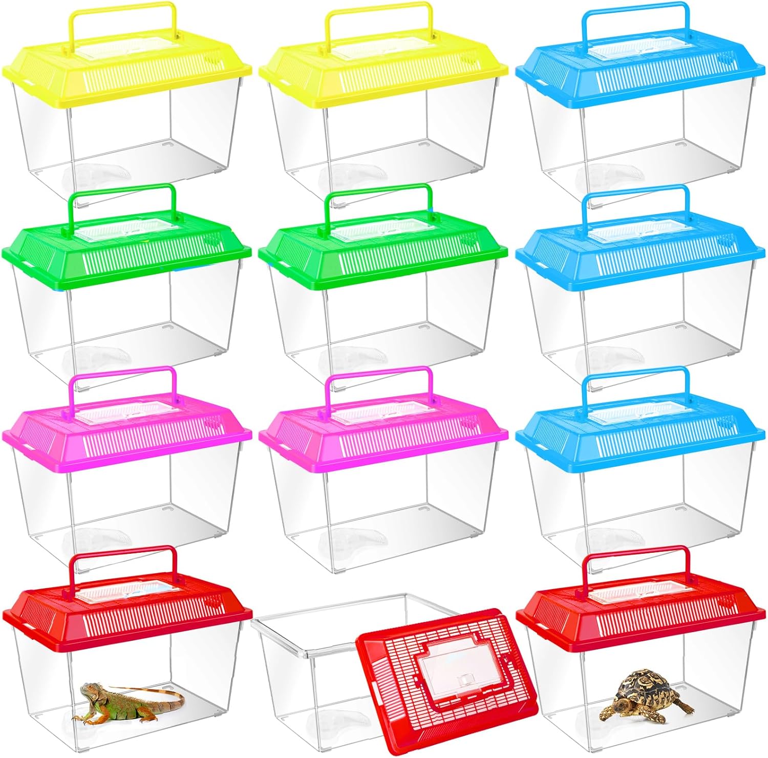 12Pcs Plastic Reptile Terrariums Carrier Cage, Tarantula Enclosure Snake Breeding Box Hatching Container Transparent Fish Tank Turtle Aquarium with Random Color Lid for Lizards, L(8.7" x 5.5" x 5.9") - Pet Explorer