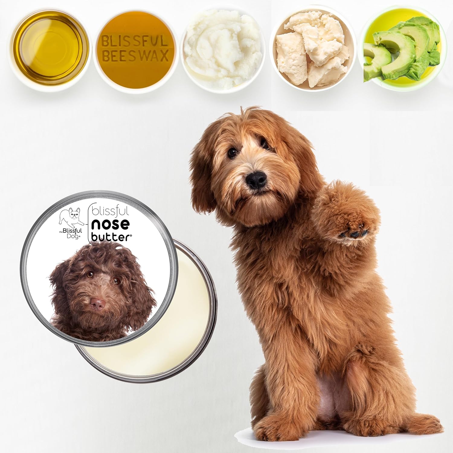 The Blissful Dog Labradoodle Nose Butter for Dry, Cracked Skin, Lick-Safe Dog Nose Balm with Moisturizing Shea Butter, Almond, Olive, and Essential Oils, Pet Supplies, Uncented, 8 oz. - Pet Explorer