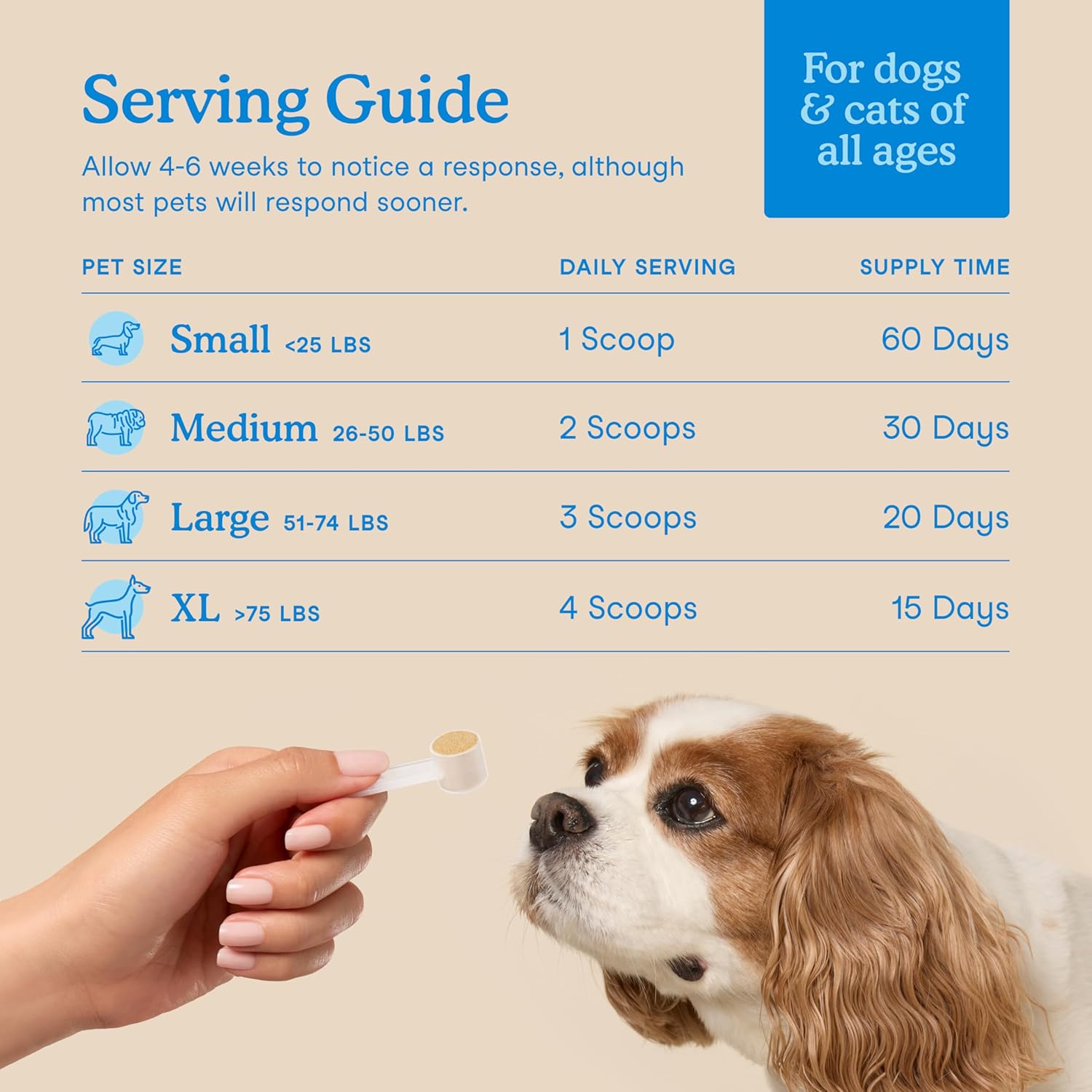 Fera Pets Cat & Dog Dental Support Powder - Supports Fresh Breath - Promotes Healthy Teeth and Gums - Targets Tartar Build-Up - Includes Kelp, Enzymes & Postbiotics - 60 Scoops - Pet Explorer