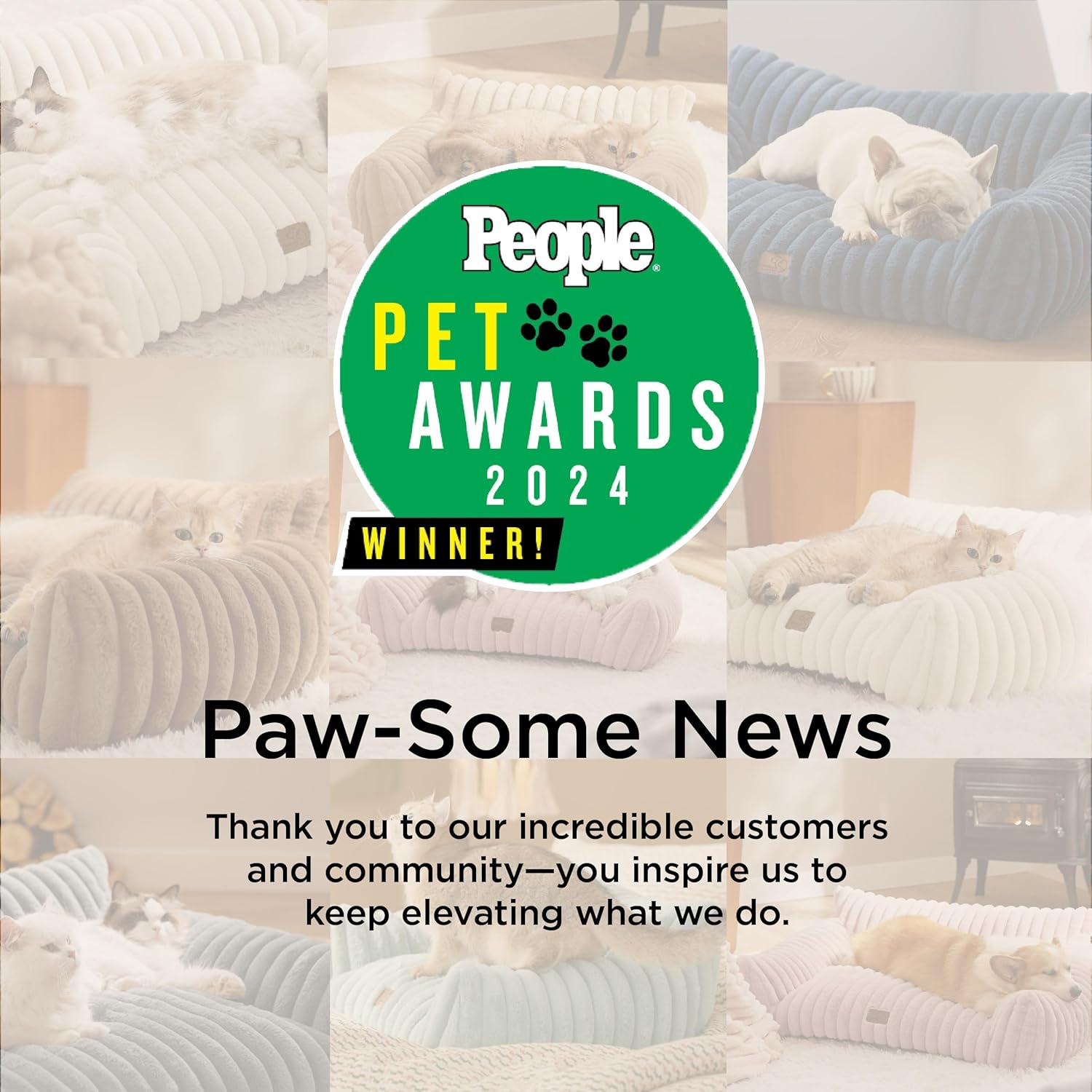 Bedsure Cute Cat Couch for Pets - Fluffy Cat beds with Premium Soft Corduroy Fleece, Fuzzy Cats beds for Indoor Cats with Removable Washable Cover, Supportive Pet Sofa, 24inch, Cream - Pet Explorer