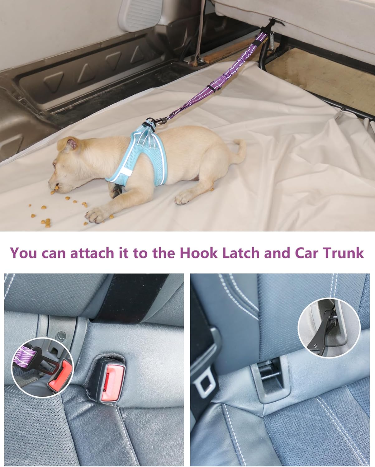 AUBELL Dog Seat Belt for Car,2 Pack Set 3-in-1 Adjustable Reflective Bungee Heavy Duty Dog Car Harness Tether with Clip Hook Latch & Buckle,Swivel Zinc Alloy Carabiner,Black+Purple - Pet Explorer