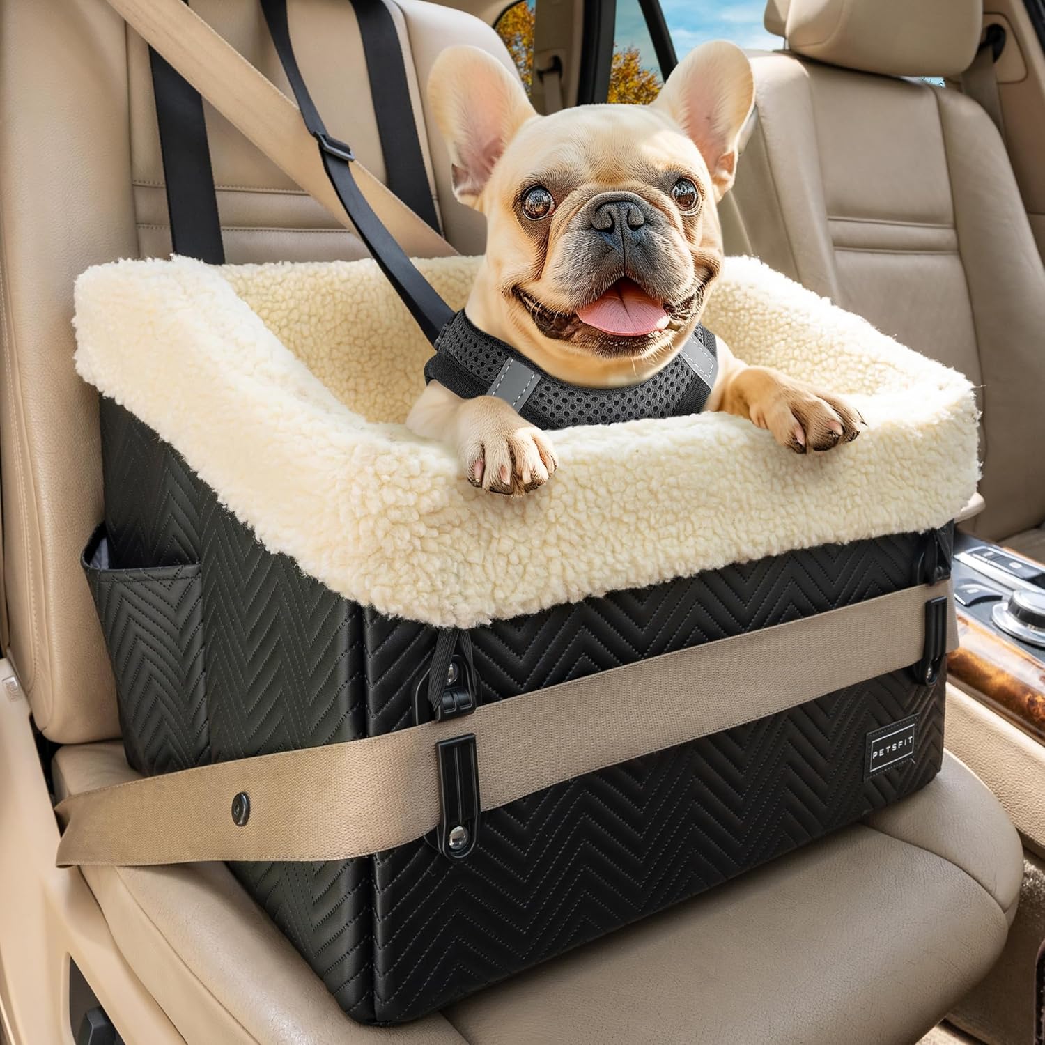 PETSFIT Small Dog Car Seat, Waterproof PU Leather Dog Booster Car Seat with Patented Safe Buckles, Detachable Dogs Seat Belt for Car, Dog Car Seat Medium Sized Dog up to 30 lbs (Black) - Pet Explorer