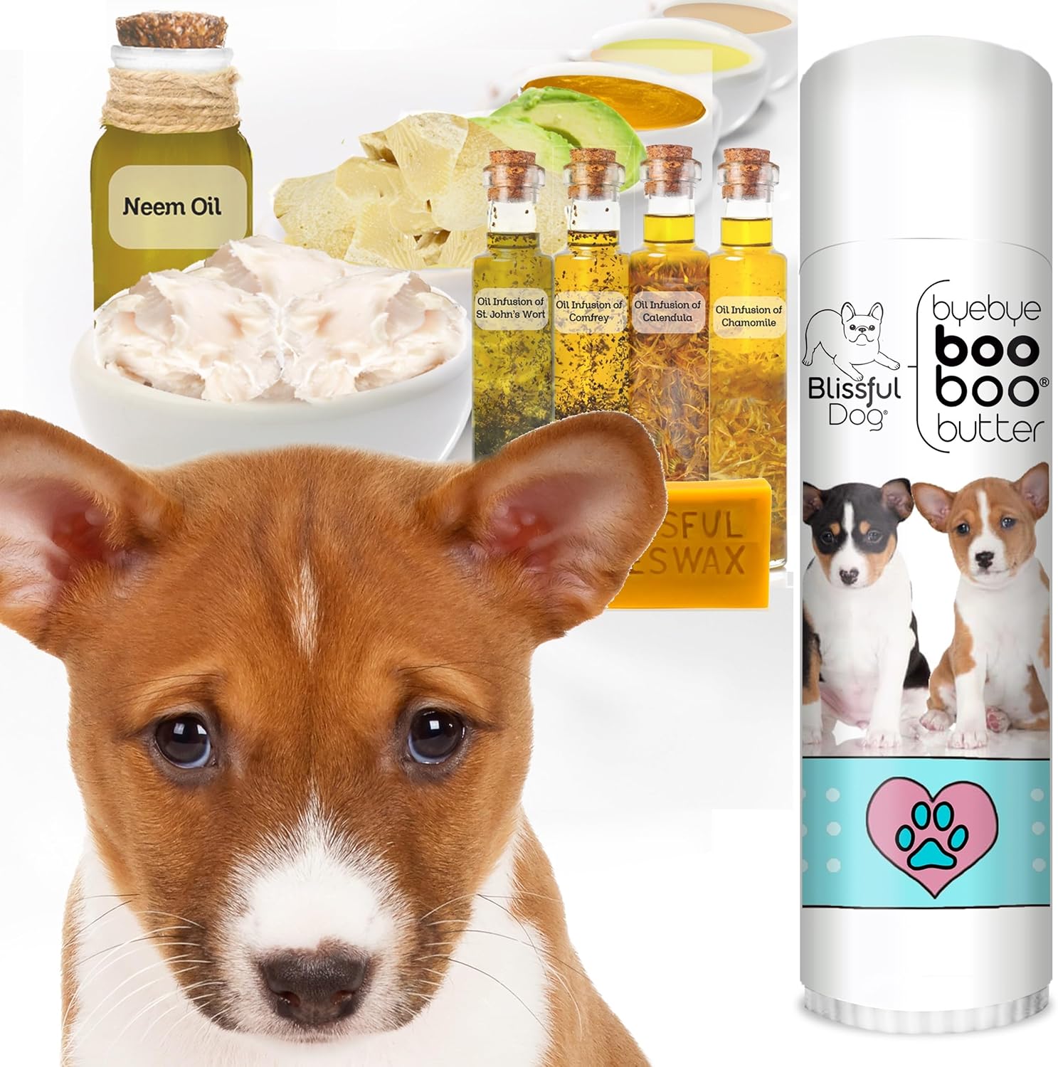 The Blissful Dog Basenji Boo Boo Butter, 0.50-Ounce - Pet Explorer