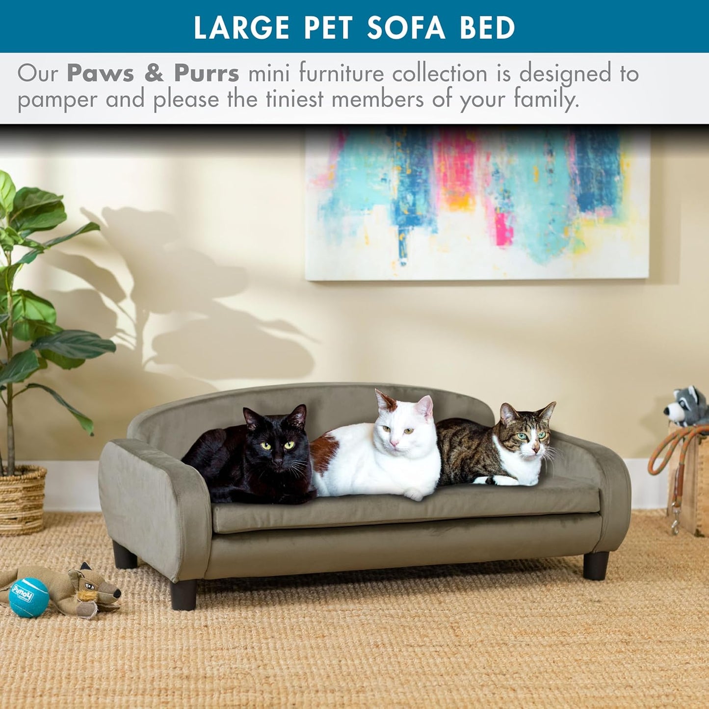 Paws & Purrs Multi-Cat Sofa Bed – 41.5″ Wide Elevated Pet Couch with 3″ Foam Mattress, Removable Machine-Washable Cover – Stylish Indoor Pet Furniture for Two or More Cats and Dogs, Ash - Pet Explorer