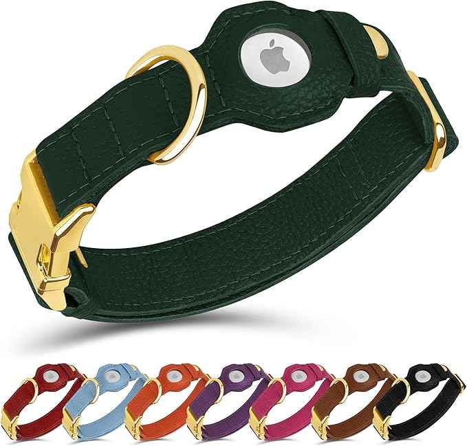 Leather Airtag Dog Collar - Soft Tracking Dog Collar with Apple AirTag Holder and Metal Buckle - Safety GPS Pet Collars for Small Medium Large Dogs Puppy Pink Red (Green, XS, 9"-12" Neck Fit)