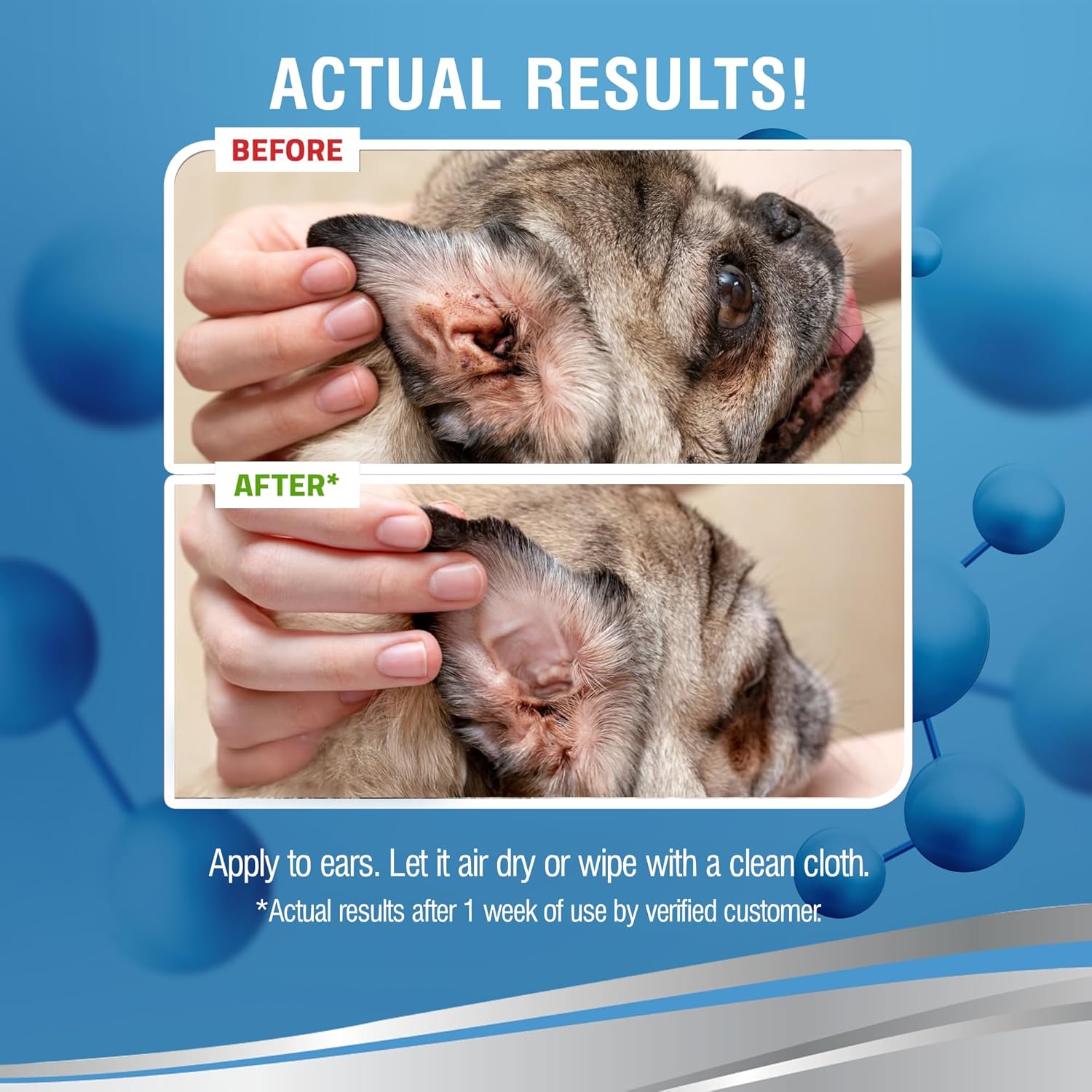 PetSilver Ear Cleaner for Dogs & Cats – Gentle Otic Rinse with Chelated Silver Formula – Supports Clear, Comfortable Ears – Easy to Use – Thoughtfully Made in The USA with Care – 8 fl oz - Pet Explorer