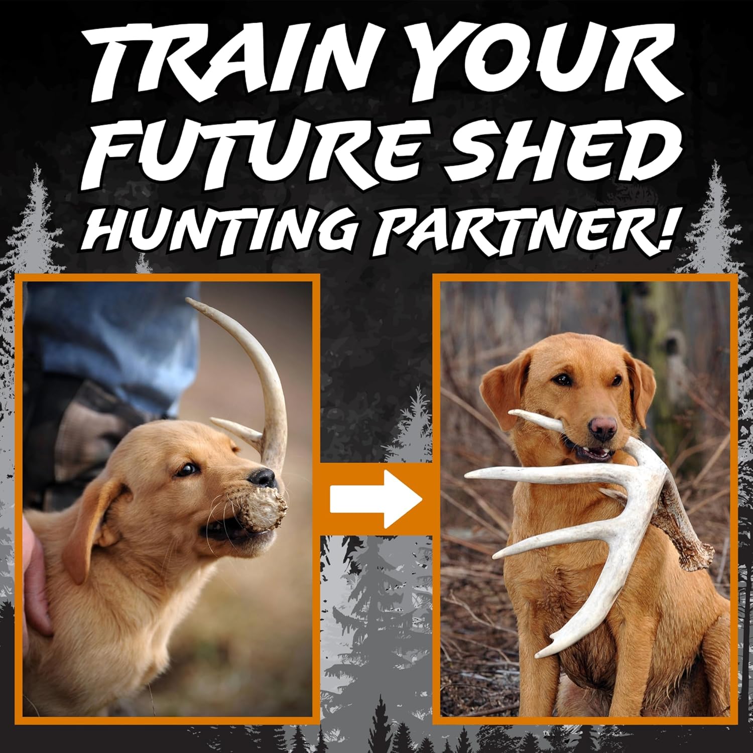 DogBone Shed Hunting Dog Training Kit – Train Your Puppy to Find Deer Antlers - Includes 2 oz Scent for Nosework & Flexible Floating Dummy for Retrieving - Perfect for Whitetail Hunters - Pet Explorer