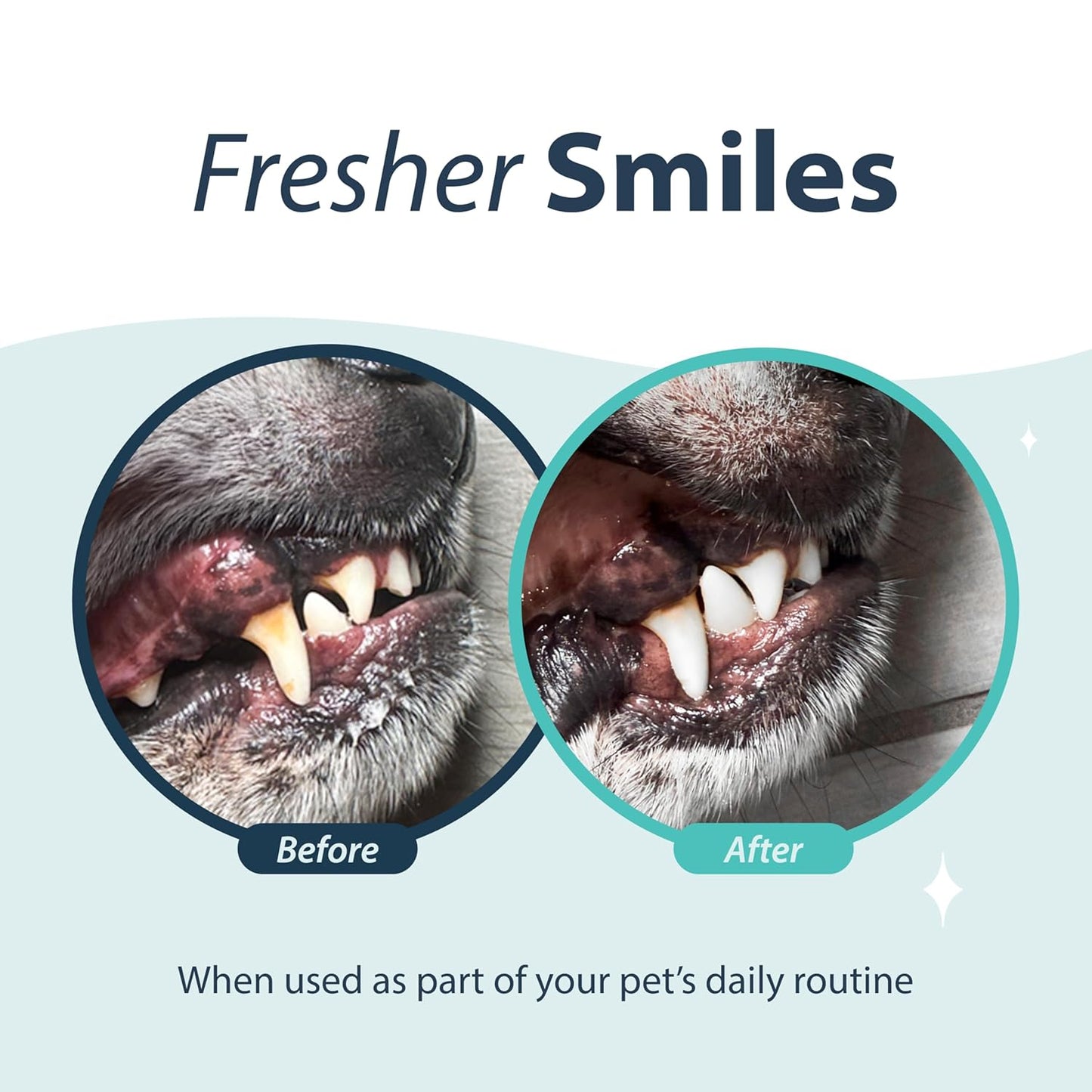 Dental Fresh Oral Spray for Dogs and Cats, Eliminates Bad Breath and Protects Their Teeth & Gums, 4 Fl Oz. - Pet Explorer