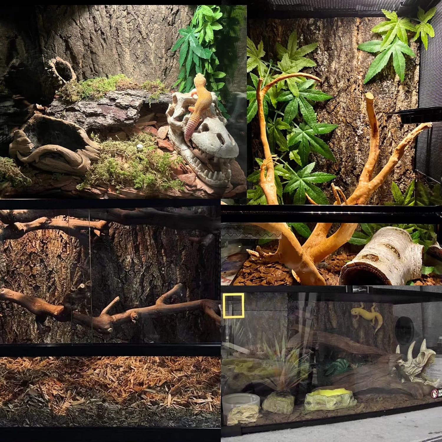 Tfwadmx Terrarium Cork Bark Background, 11.8"x7.8" Thickened Reptile Tank Tree Backdrop Wall Decor Habitat Climbing Mat Decoration for Lizard, Turtle, Gecko, Bearded Dragon, Frog, Chameleon - Pet Explorer