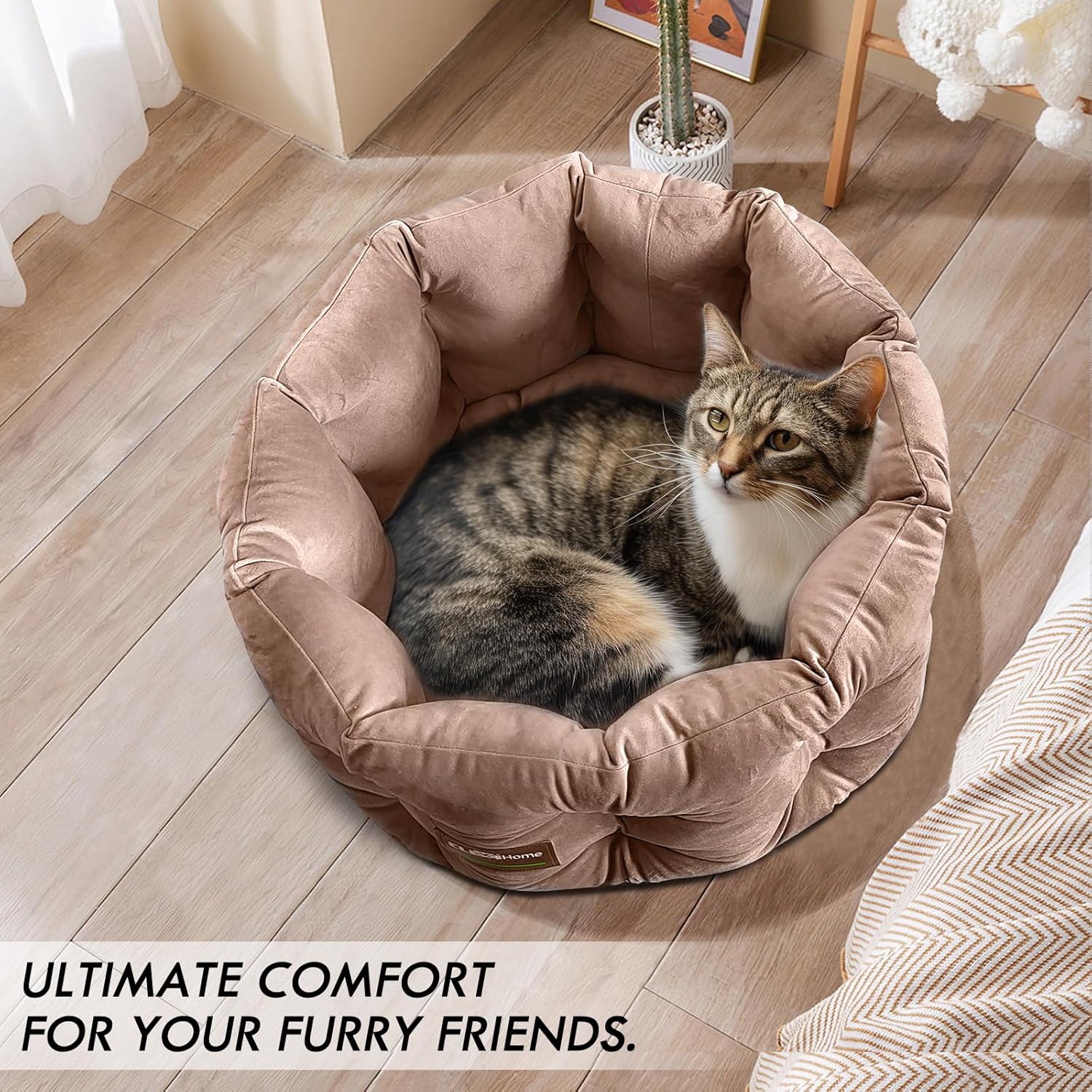ClevaHome Deep Nest Cat Bed for Small Pets up to 15lbs - Round Cat Beds for Indoor Cats, Luxurious Velvet Feel, Extra High Sides, Machine Washable Comfort Pet Bed with Non-Slip Bottom (Warm Beige) - Pet Explorer