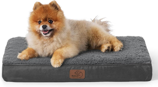 Bedsure Dog Bed for Small Dogs - Orthopedic Flat Puppy Beds with Removable Washable Cover, Egg Crate Foam Pet Mat, Suitable for Pet Up to 20 lbs - Pet Explorer
