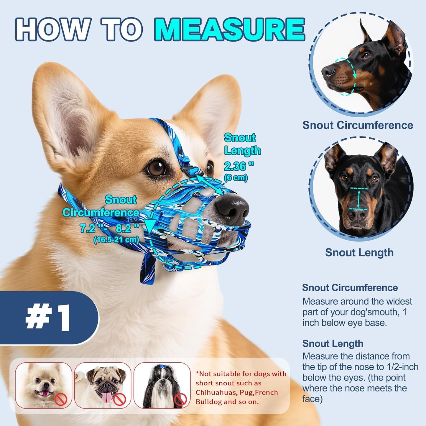 Basket Muzzle to Prevent Biting, Dog Muzzle for Large Medium Small Dogs Allows Panting Drinking Anti Chewing, Perfect for Grooming Trimming Training and Aggressive Reactive Dogs (Blue, Size 1) - Pet Explorer