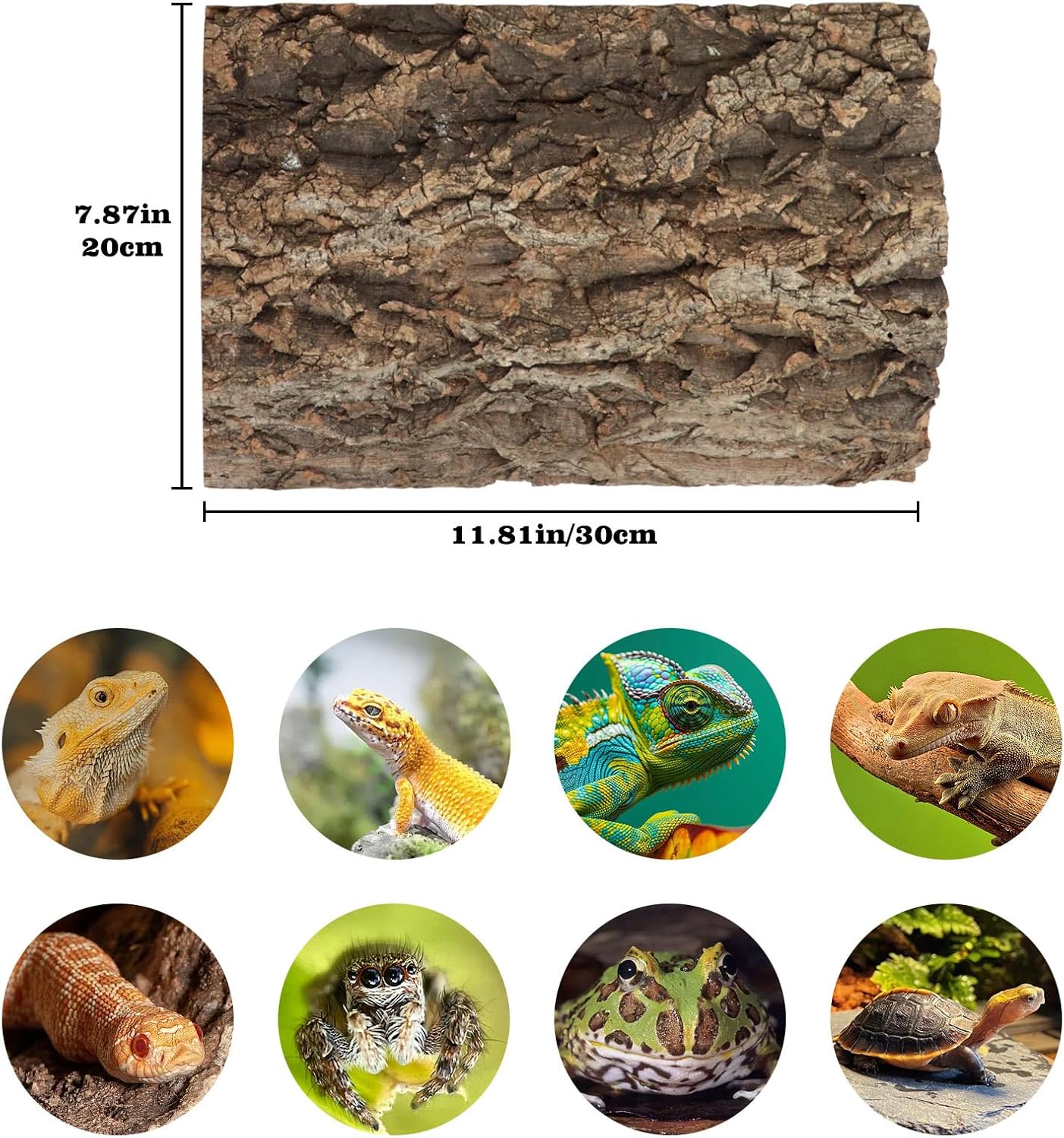 2 Pack Cork Bark Background for Reptiles Tank & Terrarium, 11.8 × 7.9 Inch Reptile & Amphibian Climbing Wall, Aquarium Decor Accessories for Turtle Bearded Dragon Chameleon Snake Lizard Hermit Crab - Pet Explorer