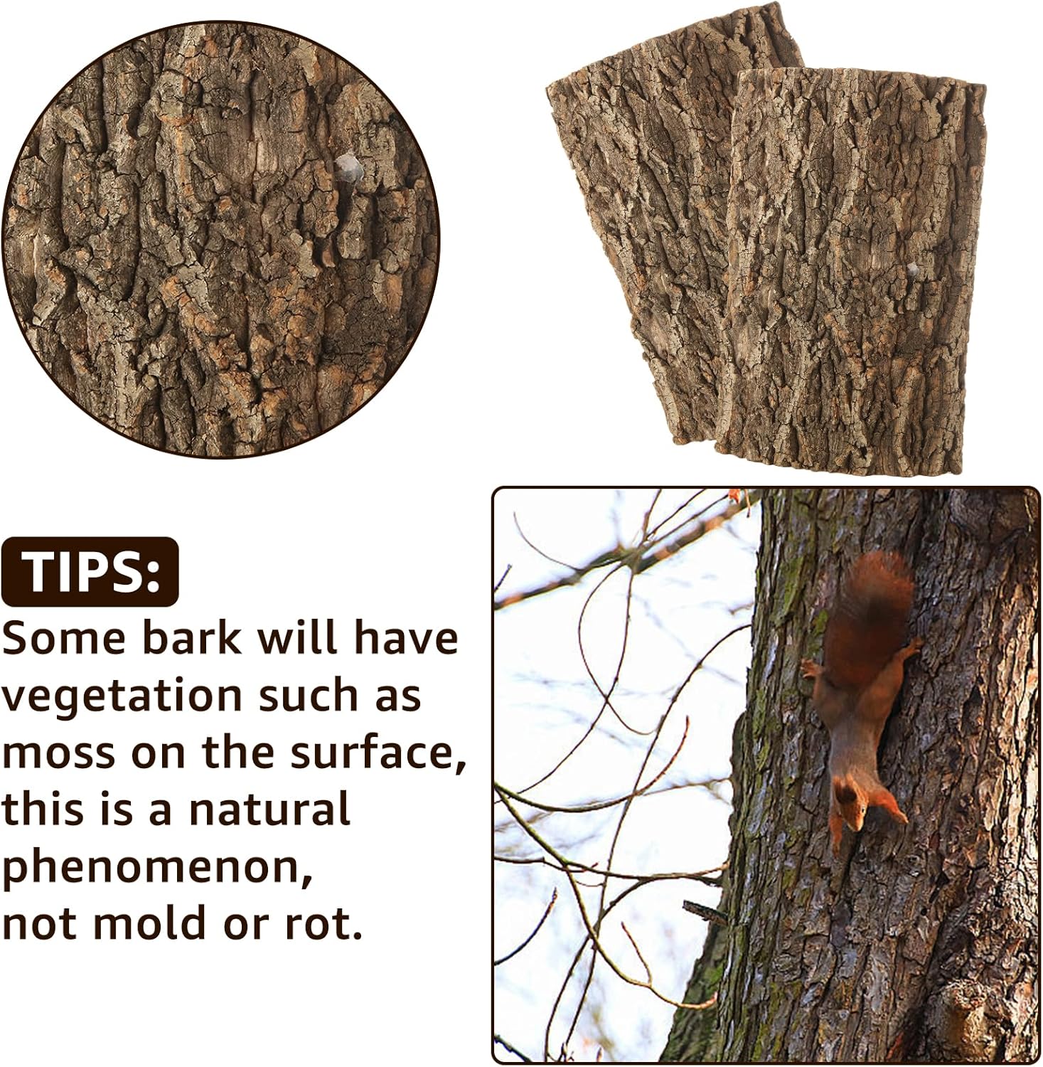 RHBLME 6 Pack Cork Bark for Reptiles, 11.8" L x 7.8" W Cork Bark for Terrarium, Reptile Tank Background Terrarium Backdrop Wall Decor Natural Reptile Climbing Mat - Pet Explorer