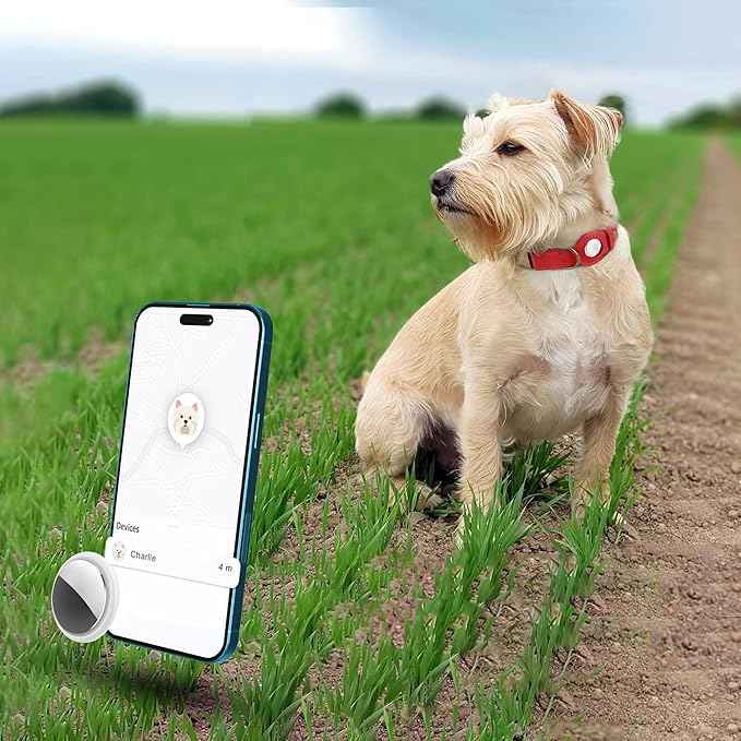 AirTag Dog Collar - Genuine Leather Dog Collar with Apple AirTag Holder and Metal Buckle - Smart GPS Tracking Pet Collars (Red, M, 14"-18" Neck Fit)