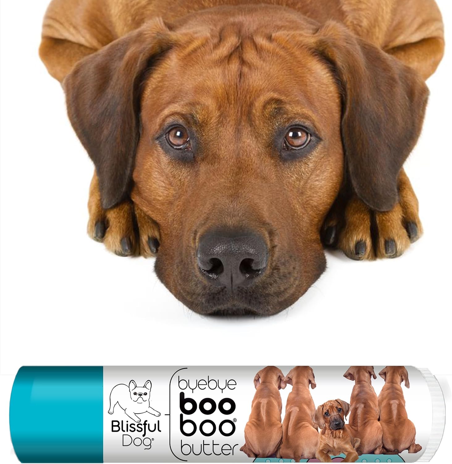 The Blissful Dog .15 oz Tube Rhodesian Ridgeback Booboo Butter - Pet Explorer