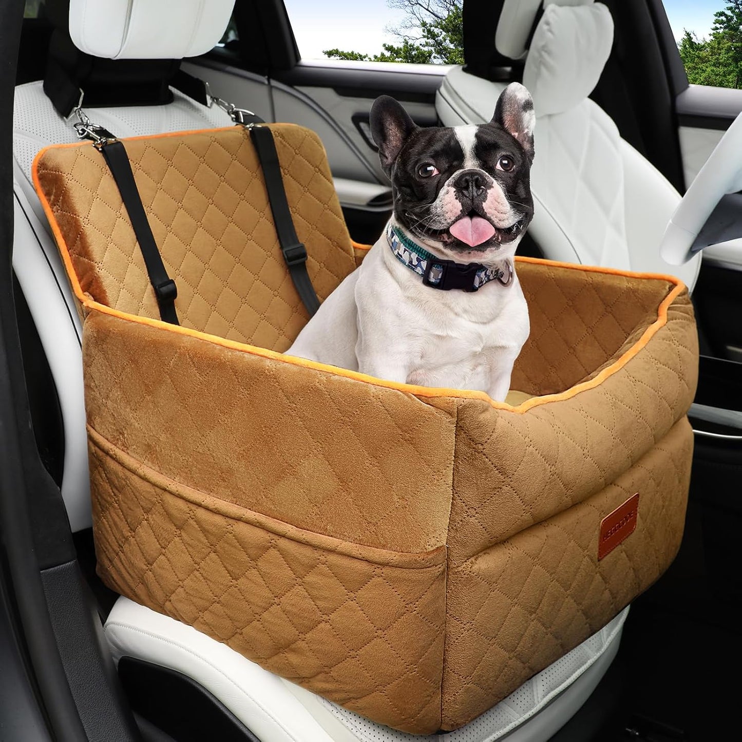 Dog Car Seat for Small Medium Dogs, Memory Foam Dog Booster Seats with Thick Cushion for Dogs Under 35lbs, Detachable Washable Pet Car Seat Travel Bed with Storage Pockets,2 Safety Belt - Pet Explorer