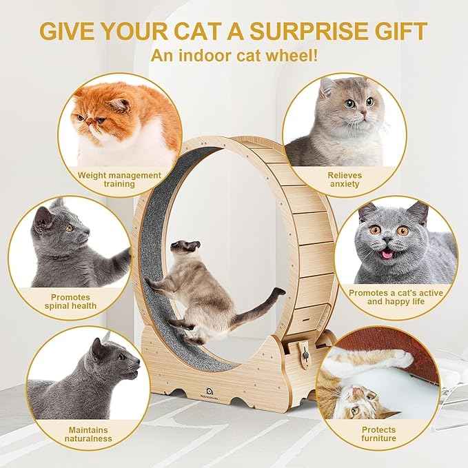 Cat Wheel, 48" XL Large Cat Treadmill for Indoor Pets, Cats Exercise Running Wheel with Detachable Carpet, Quiet and Sturdy, Suitable for Most Cats Running/Walking/Training