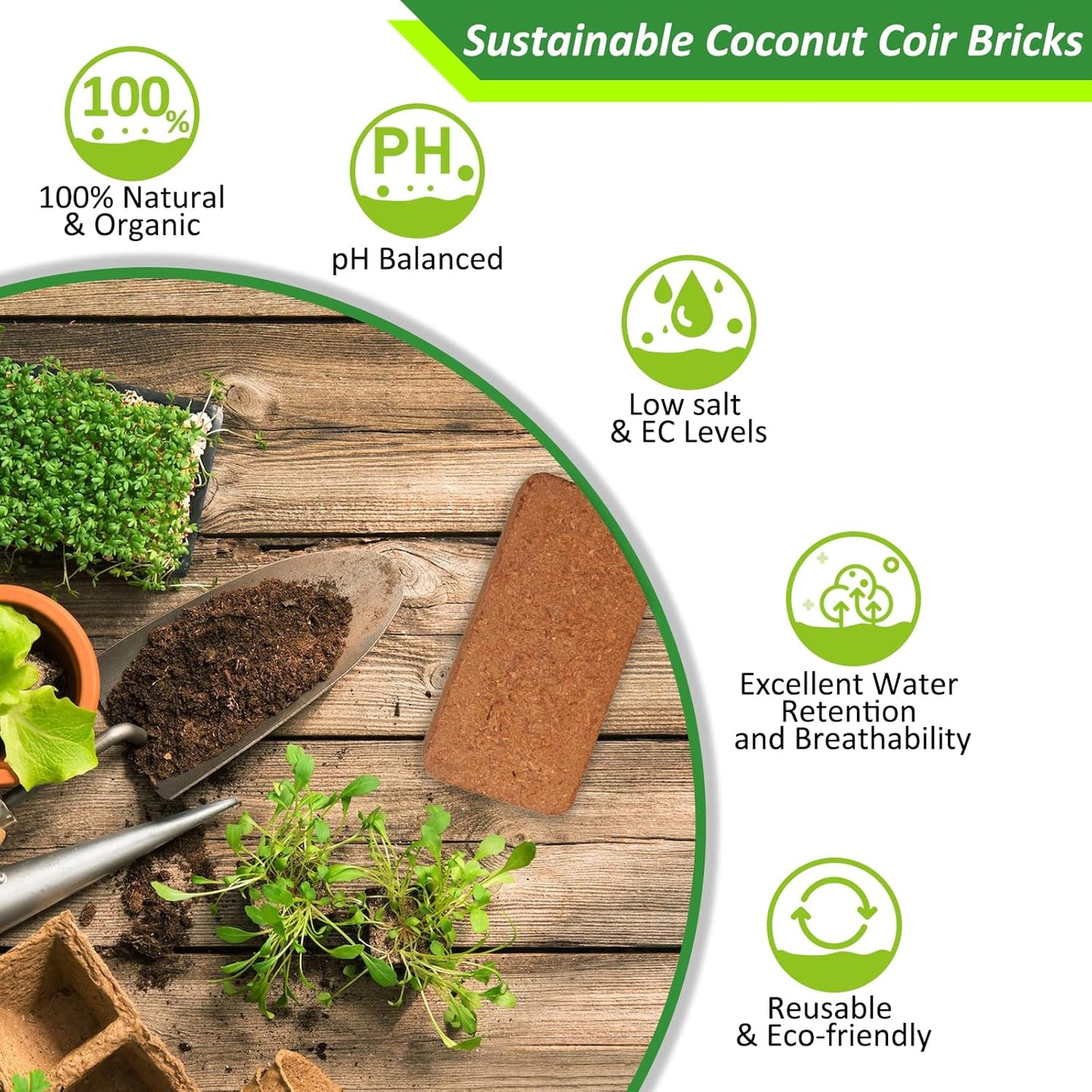 Riare 6pcs Organic Coco Coir Bricks Soil Blocks- 100% Natural Compressed Coco Peat Brick Coconut Fiber Substrate with Low EC& pH Balance, High Expansion Coco Coir Pith Coconut Husk for Garden - Pet Explorer