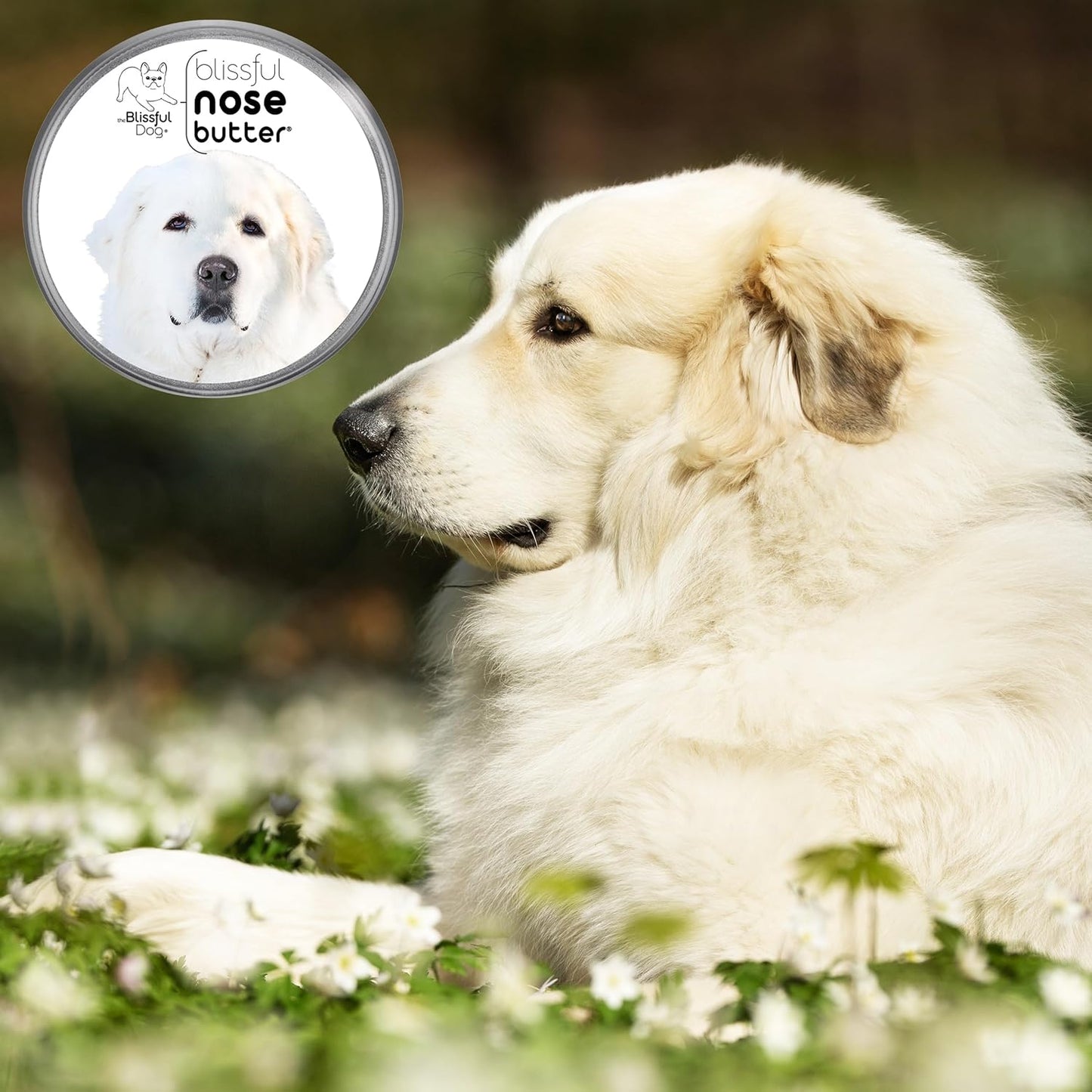 The Blissful Dog Great Pyrenees Unscented Nose Butter - Dog Nose Butter, 16 Ounce - Pet Explorer