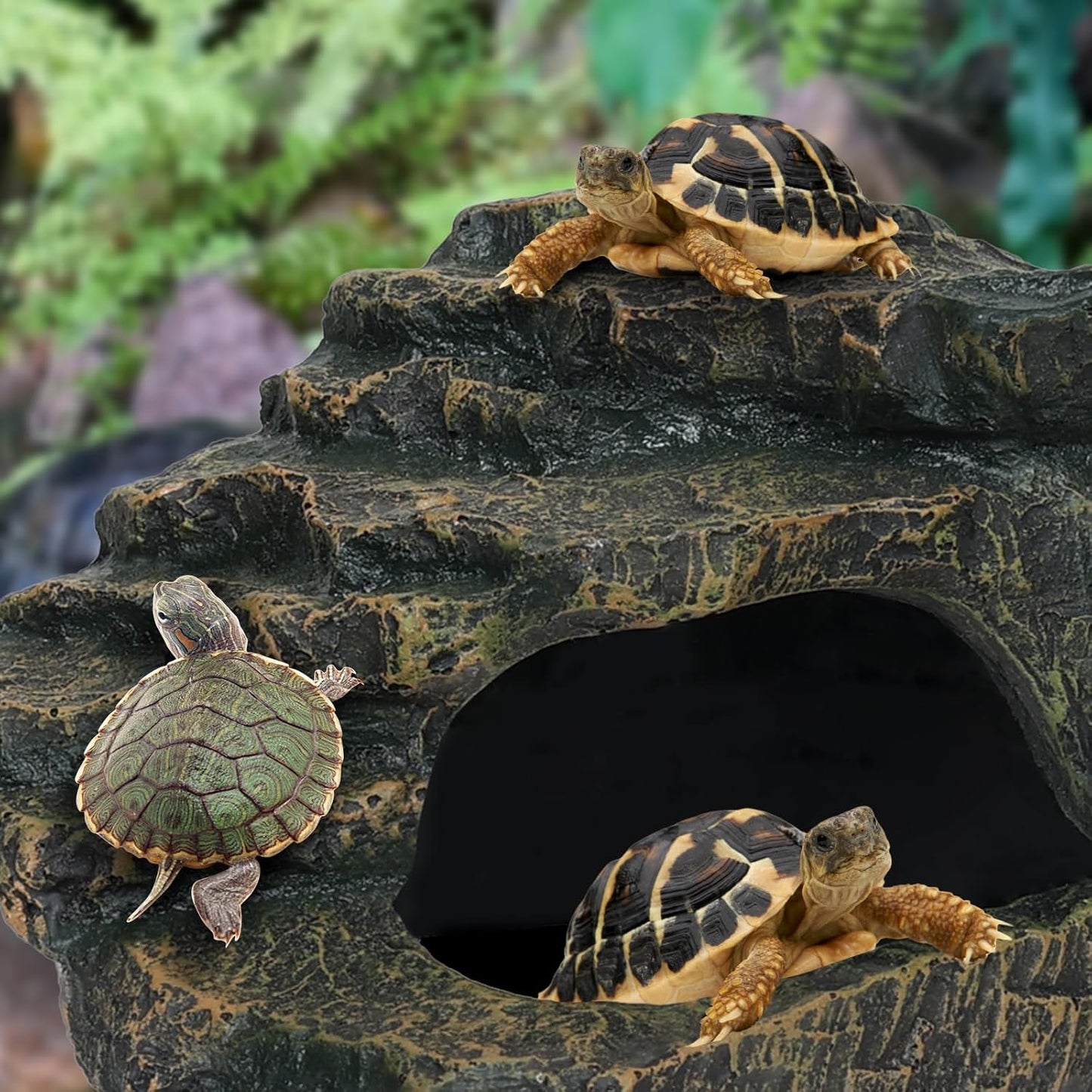 Gecko Tank Acccessories, Turtle Tank Accessories, Perfect Tortoise Hide Fish Tank Decor for Betta, Fish, Snake Hide, Professional Turtle Basking Platform (Medium) - Pet Explorer