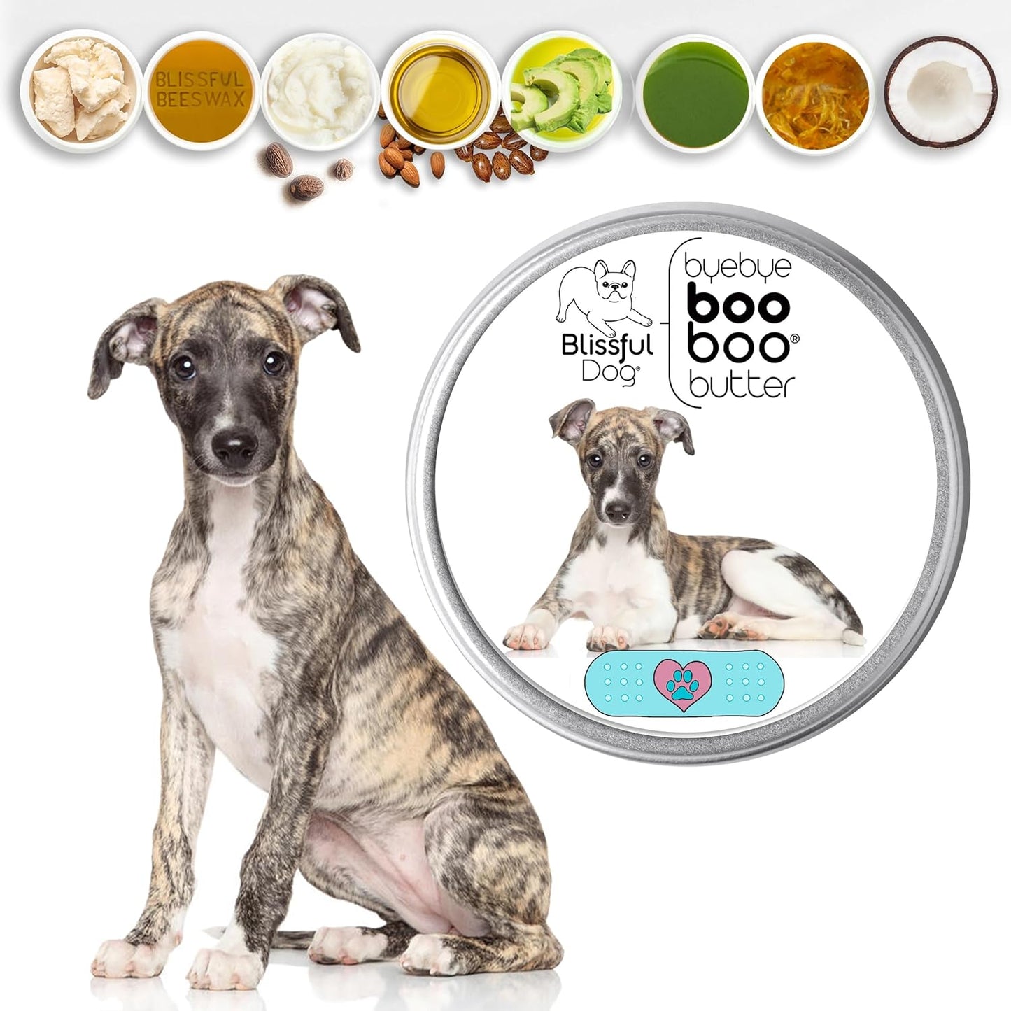 The Blissful Dog Whippet Boo Butter, 4 oz - Pet Explorer
