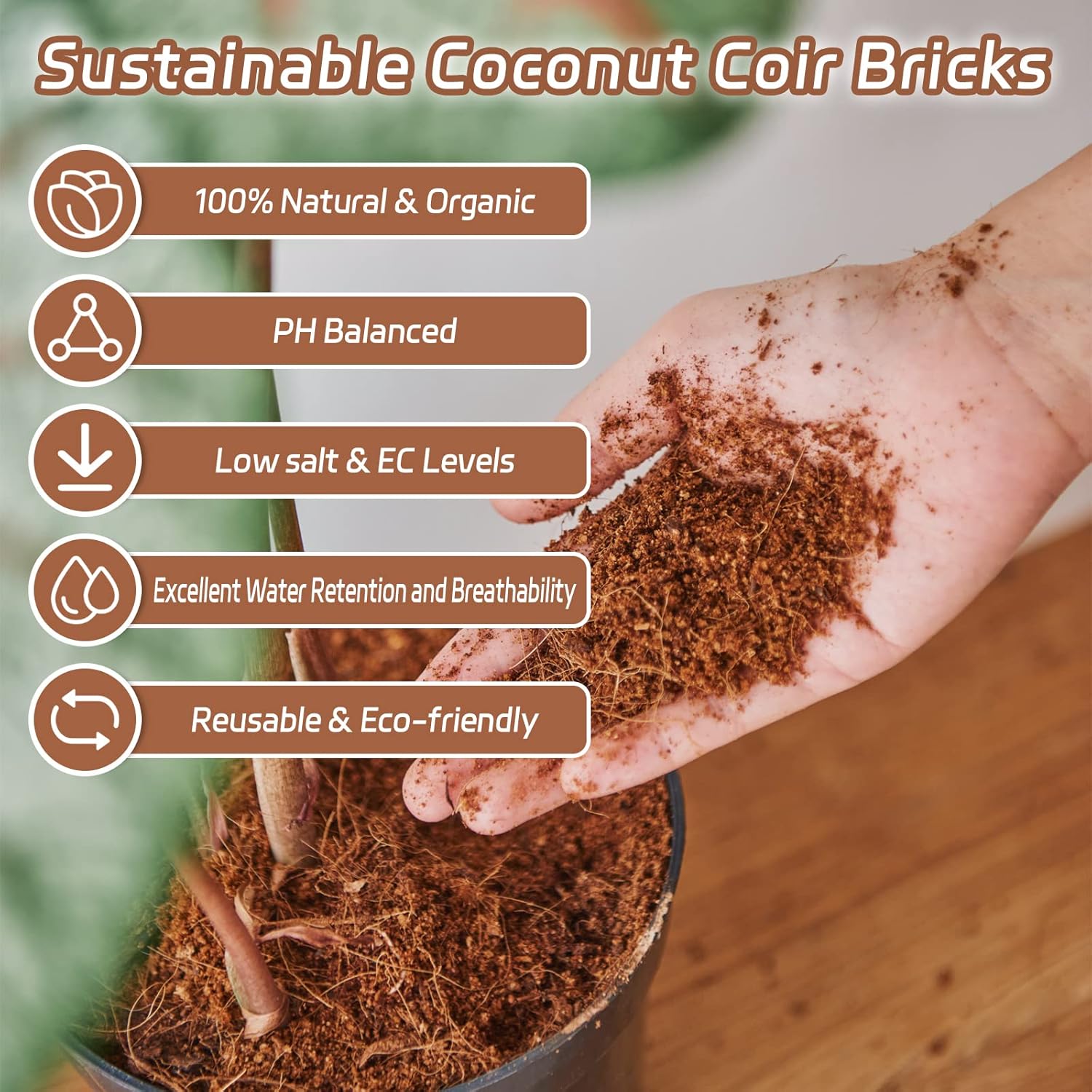 Riare 10pcs Organic Coco Coir Bricks Soil Blocks- 100% Natural Compressed Coco Peat Brick Coconut Fiber Substrate with Low EC& pH Balance, High Expansion Coco Coir Pith Coconut Husk for Garden - Pet Explorer