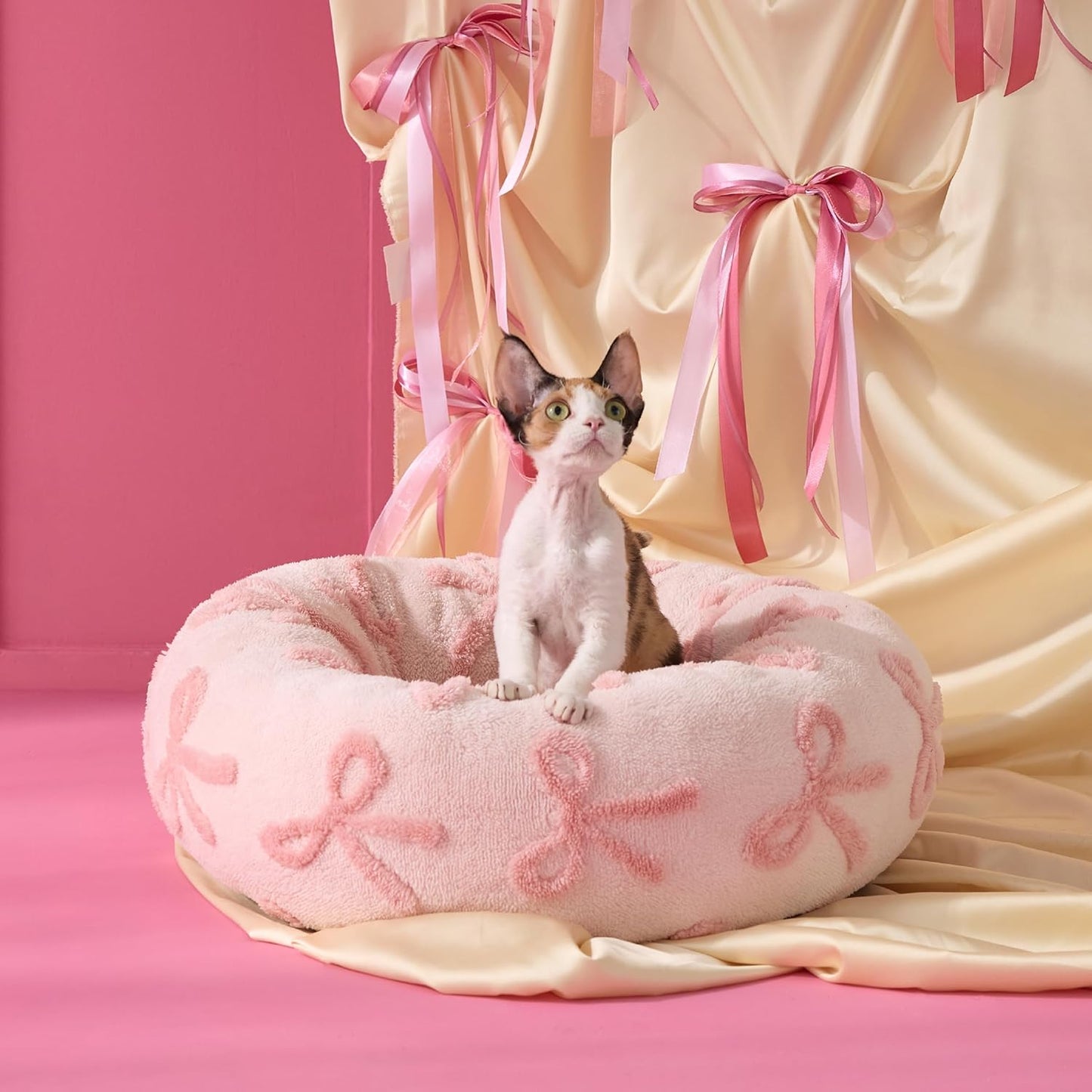 LE SURE Donut Cat Beds for Indoor Cats - Round Small Dog Bed Calming Pet Beds, Cute Modern Beds with Jacquard Shaggy Plush & Anti Slip Bottom, 20 Inch, Pink Taffy - Pet Explorer