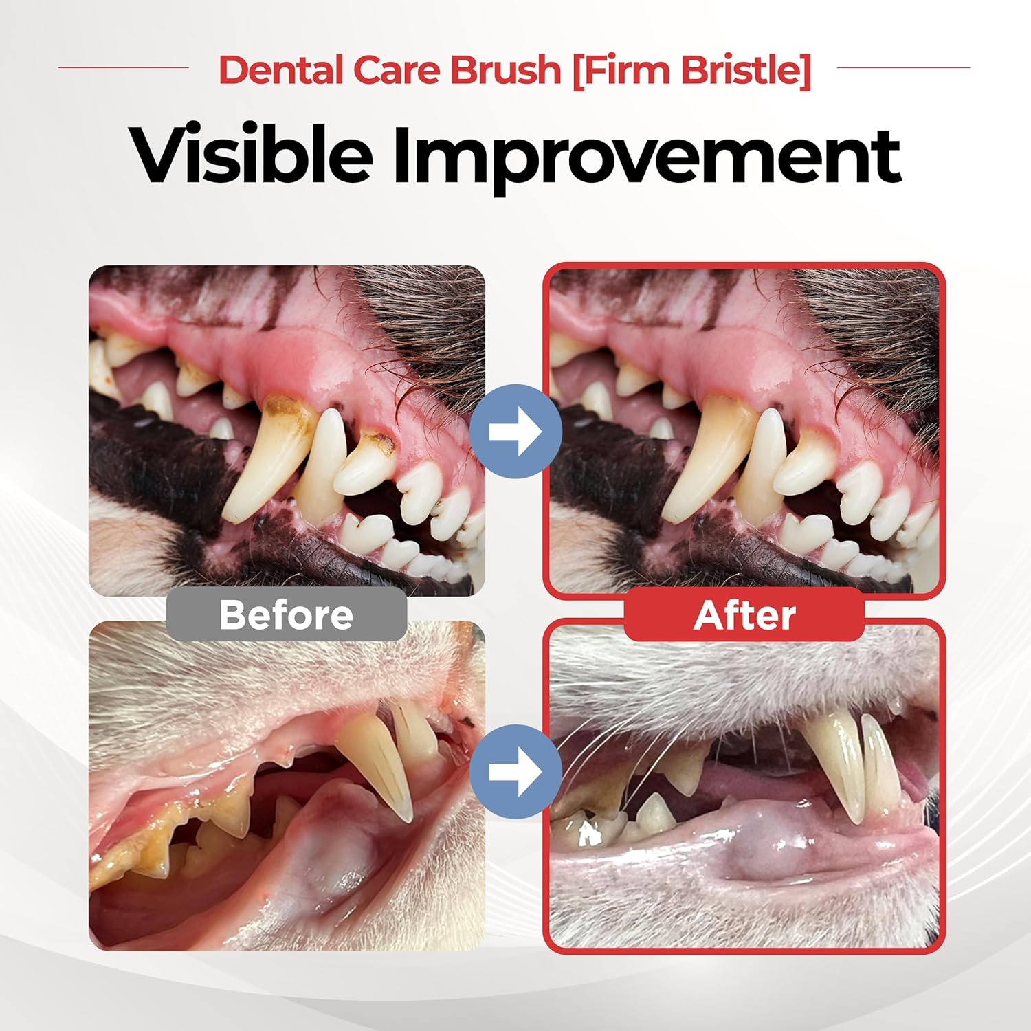 JAYU PET Dental Care Brush (Firm Bristles) 3ea - Resilient Dog Toothbrush, Cat Toothbrush for Tartar & Plaque Removal, Horizontal Head and S-Curved Body - Pet Explorer