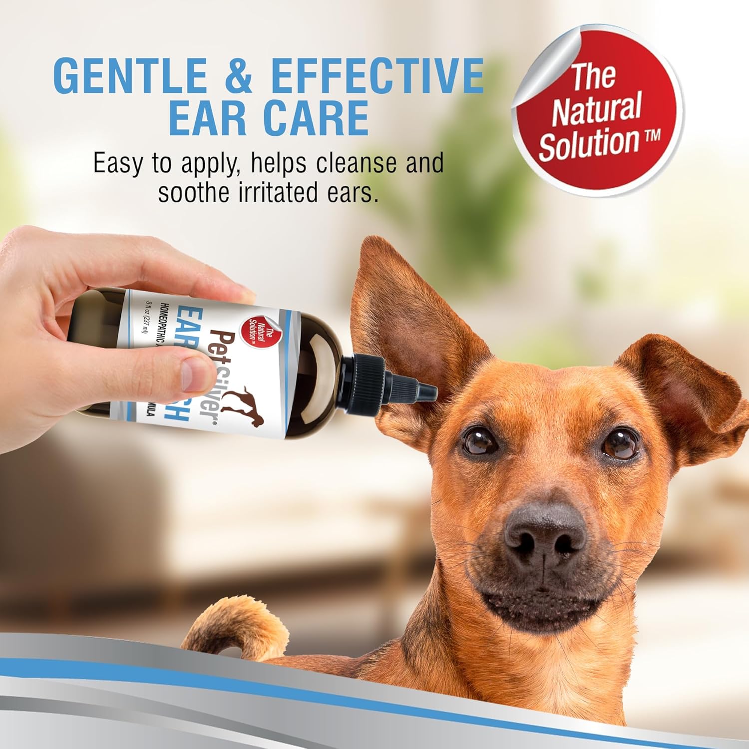 PetSilver Ear Cleaner for Dogs & Cats – Gentle Otic Rinse with Chelated Silver Formula – Supports Clear, Comfortable Ears – Easy to Use – Thoughtfully Made in The USA with Care – 8 fl oz - Pet Explorer