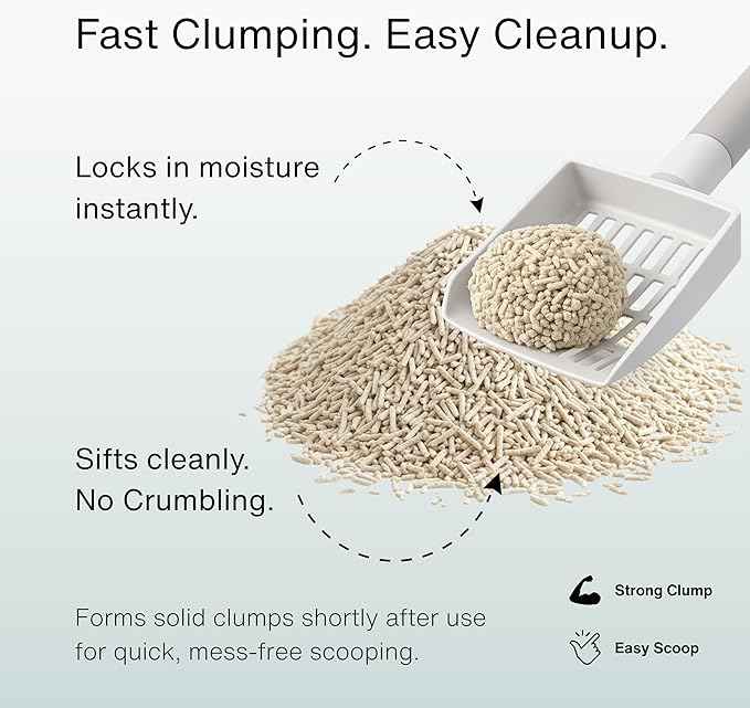 RAWRY Tofu Cat Litter | Clumping, Dust-Free, Unscented, Natural Compostable & Flushable Kitty Litter for Odor Control | 3 Month Supply: 23.1lb