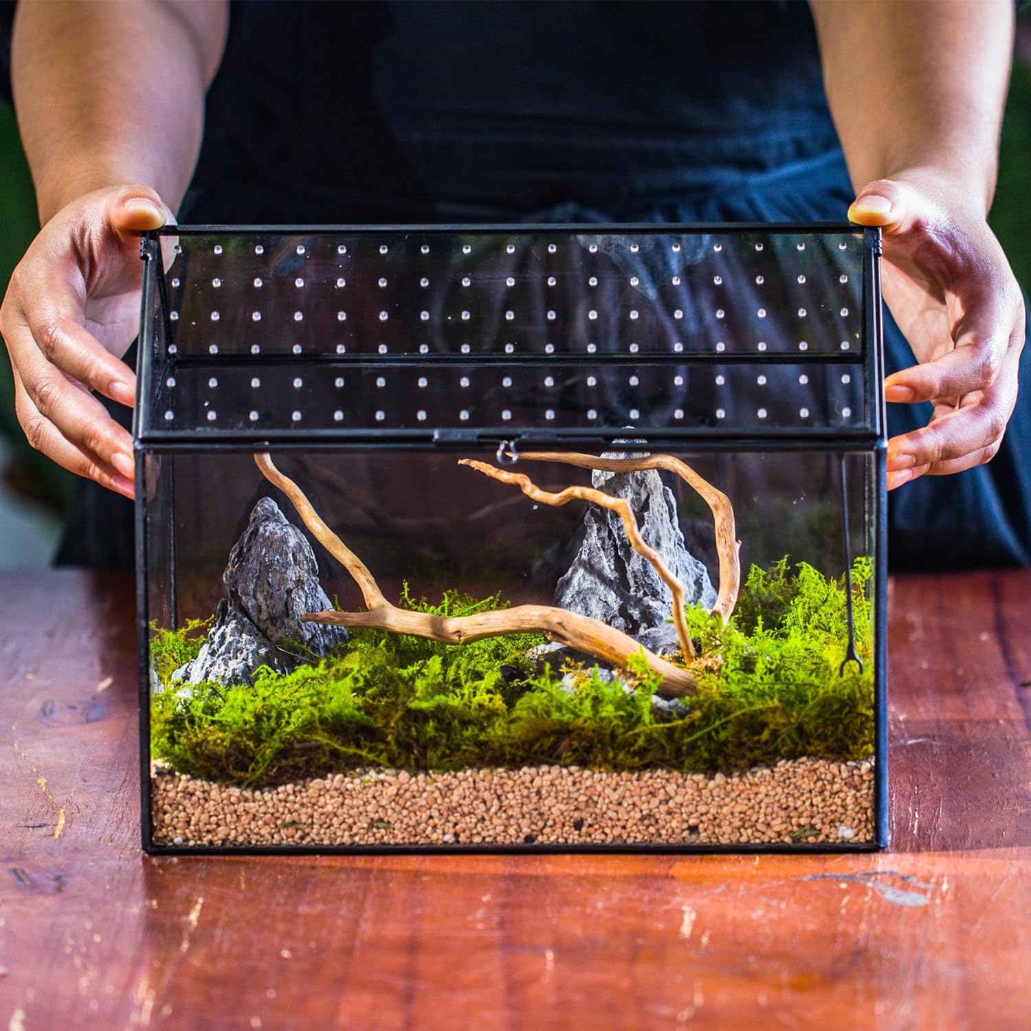 NCYP House Shape Glass Terrarium with Acrylic Lid - 10.2x5.9x8.2 Inches Large Geometric Box for Snails, Ferns, Succulents, Air Plants, Indoor Tabletop Decor, Handmade (Terrarium Only) - Pet Explorer