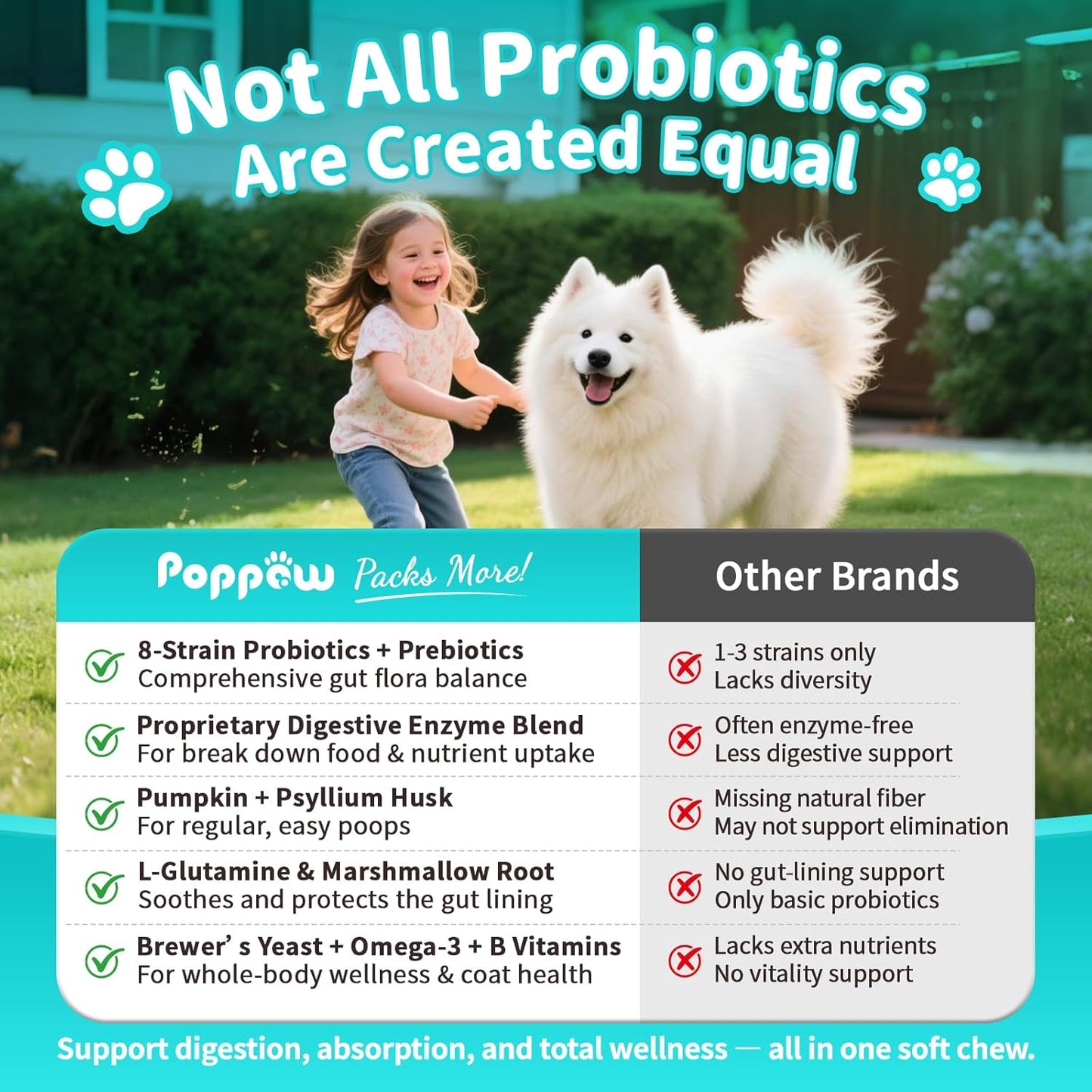 Probiotics for Dogs, Digestive Enzymes for Gut Health Support, Dog Fiber Supplement with Pumpkin for Diarrhea & Bowel Support, Upset Stomach & Gas Relief, Constipation - 60 Count Chicken Flavor - Pet Explorer