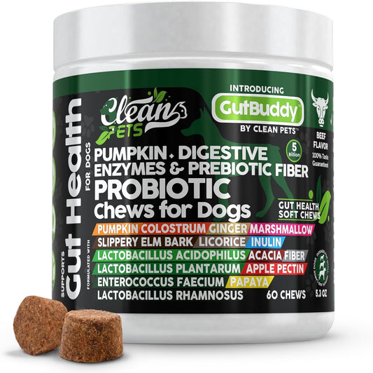 Probiotics for Dogs with Pumpkin, Colostrum, Digestive Enzymes, Ginger, Slippery Elm, Licorice, Inulin Fiber & More | Beef Flavor Soft Chews for Gut Health and Digestion Dog Supplement - Pet Explorer