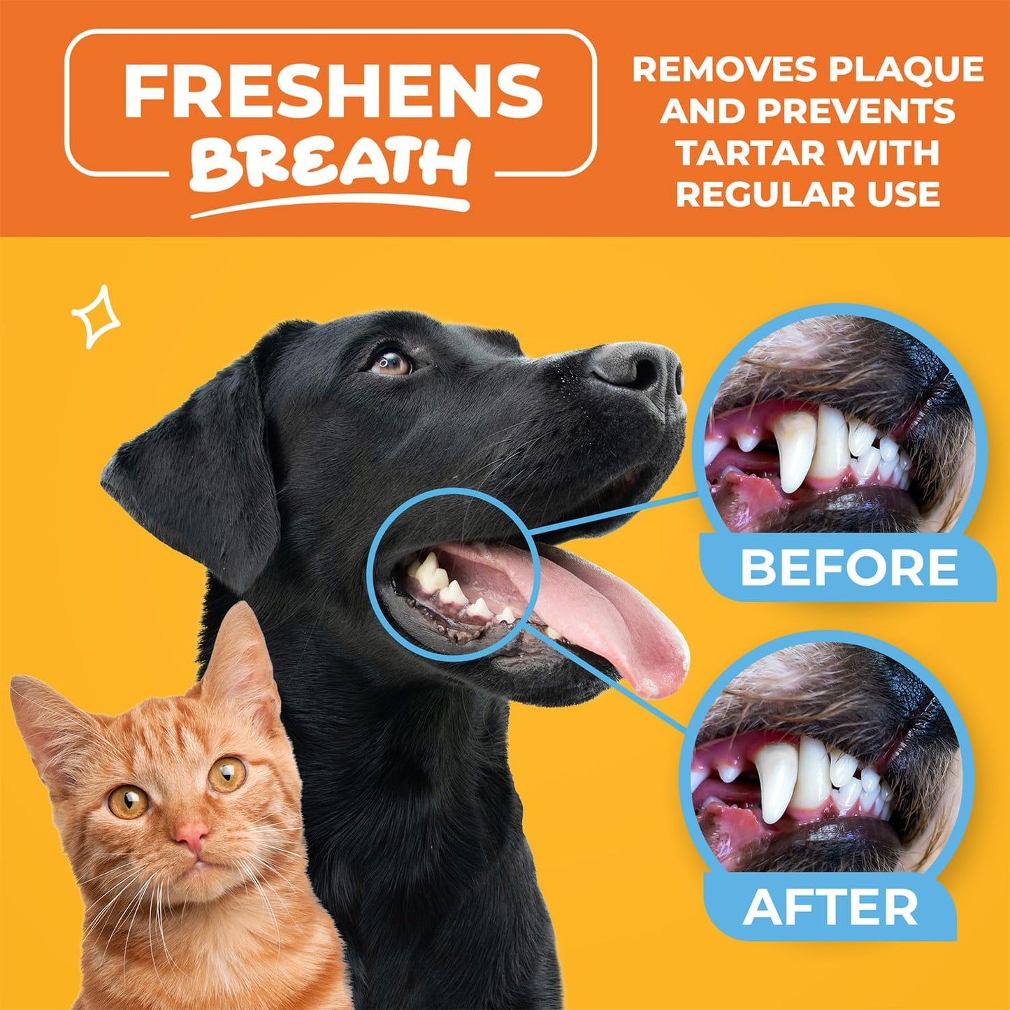 Cat & Dog Teeth Cleaning Wipes - Dental Finger Wipes for Cats & Dogs - Pet Toothbrush & Tooth Brushing Kit - Effective Teeth Cleaner (Unscented) - Pet Explorer