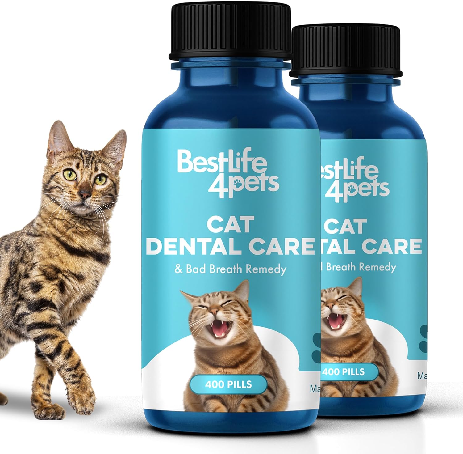 Cat Bad Breath & Oral Health Remedy, Natural Dental Care Cats Teeth, Mouth and Gums, Easy to Use Daily Supplement for Stomatitis, Gingivitis, Plaque & Tartar Control for Cats, 800 Small Pills - Pet Explorer